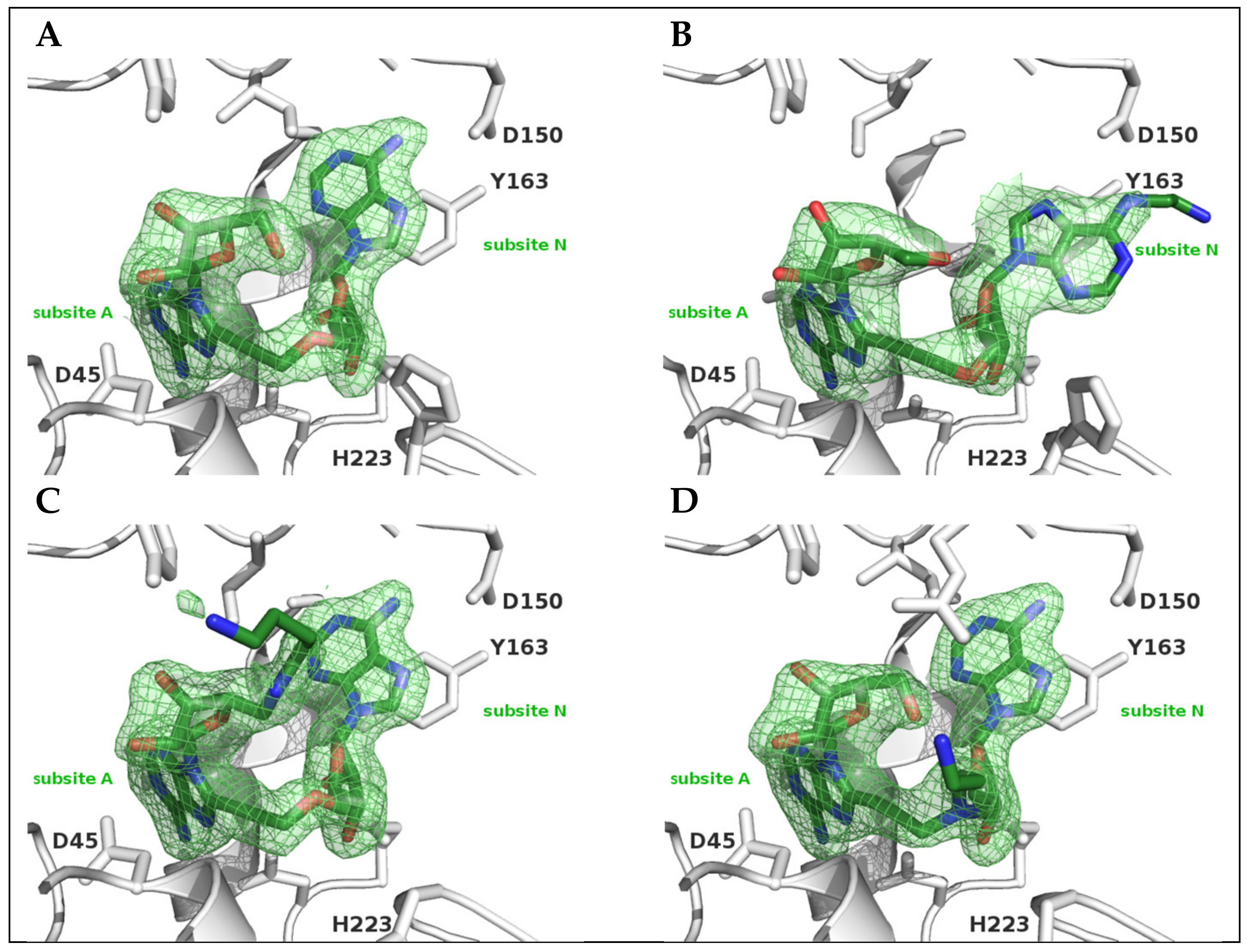 Molecules 25 04893 g004