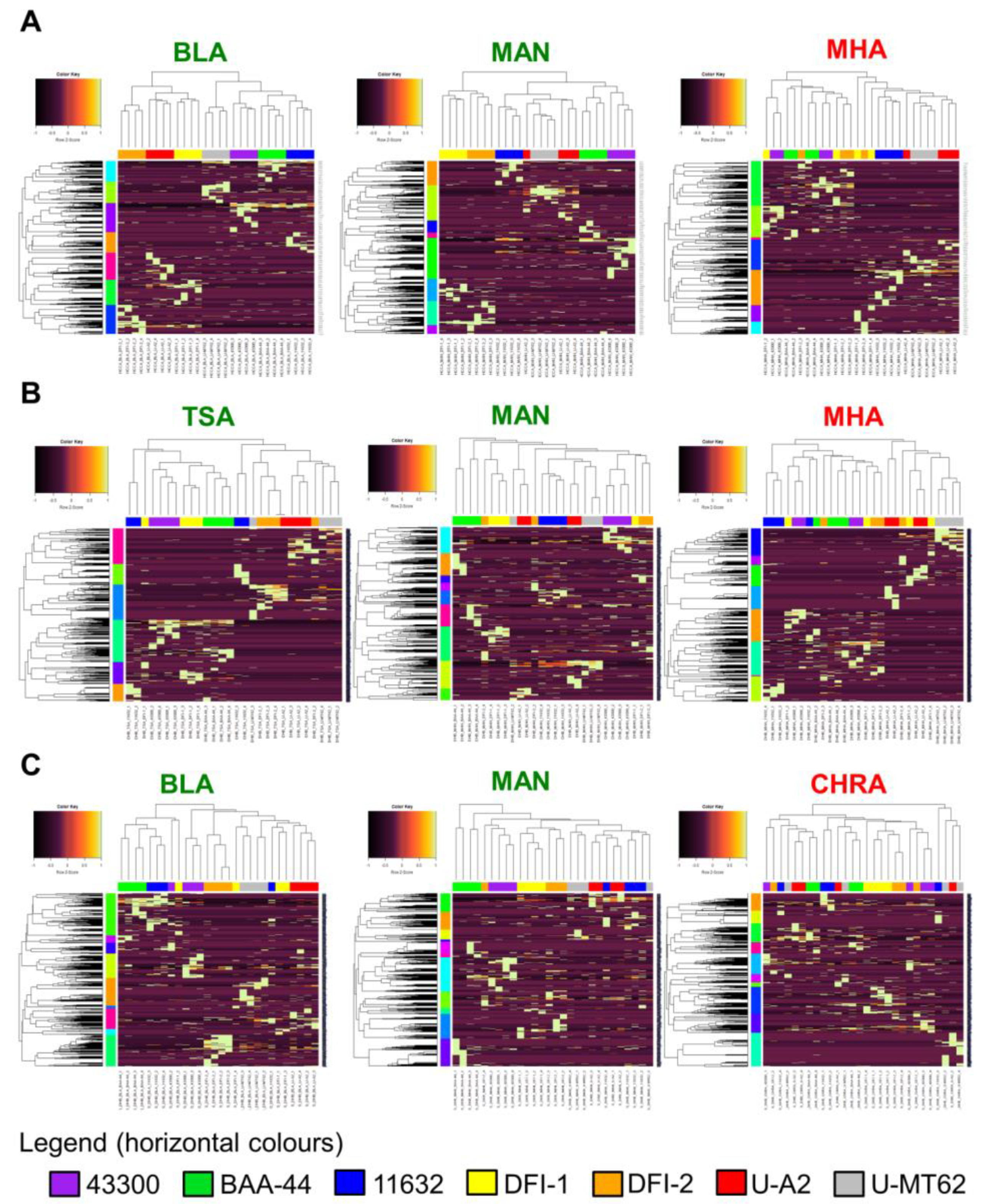 Molecules 25 04894 g002 Molecules 25 04894 g002