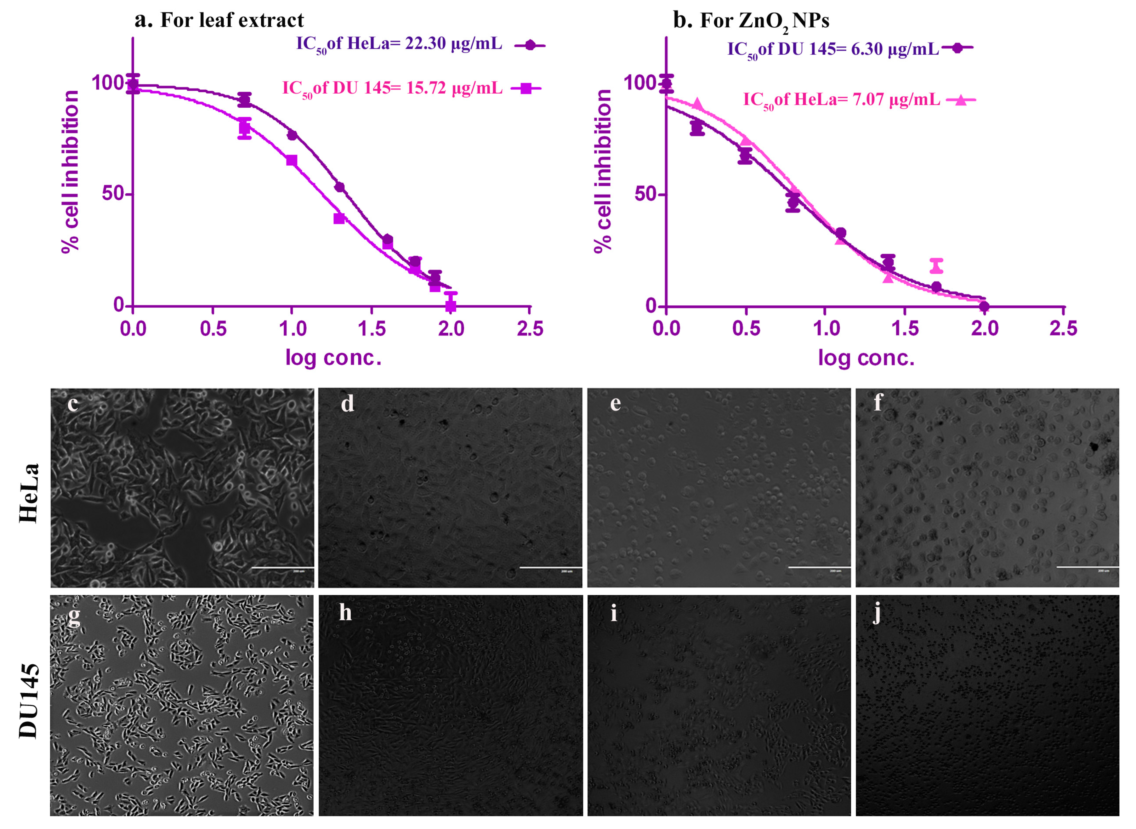Molecules 25 04896 g006