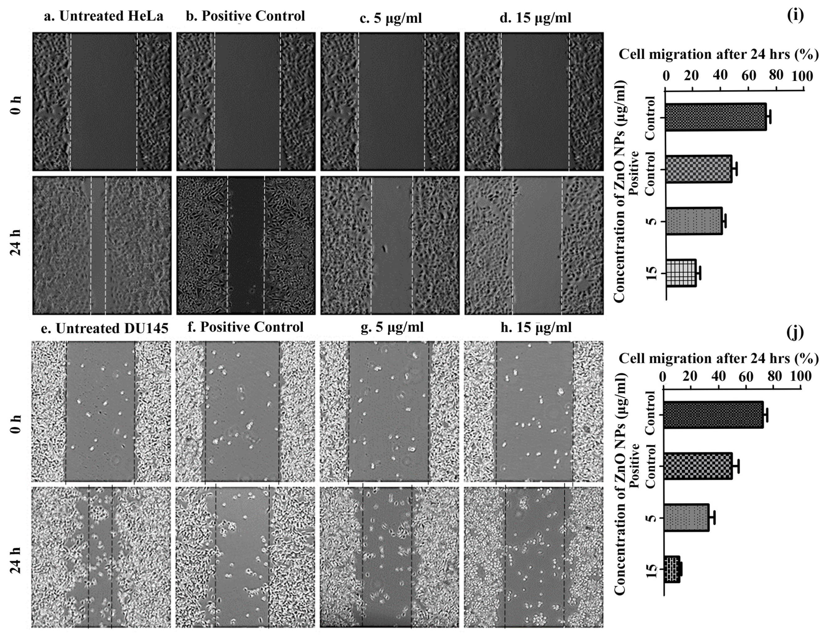 Molecules 25 04896 g008