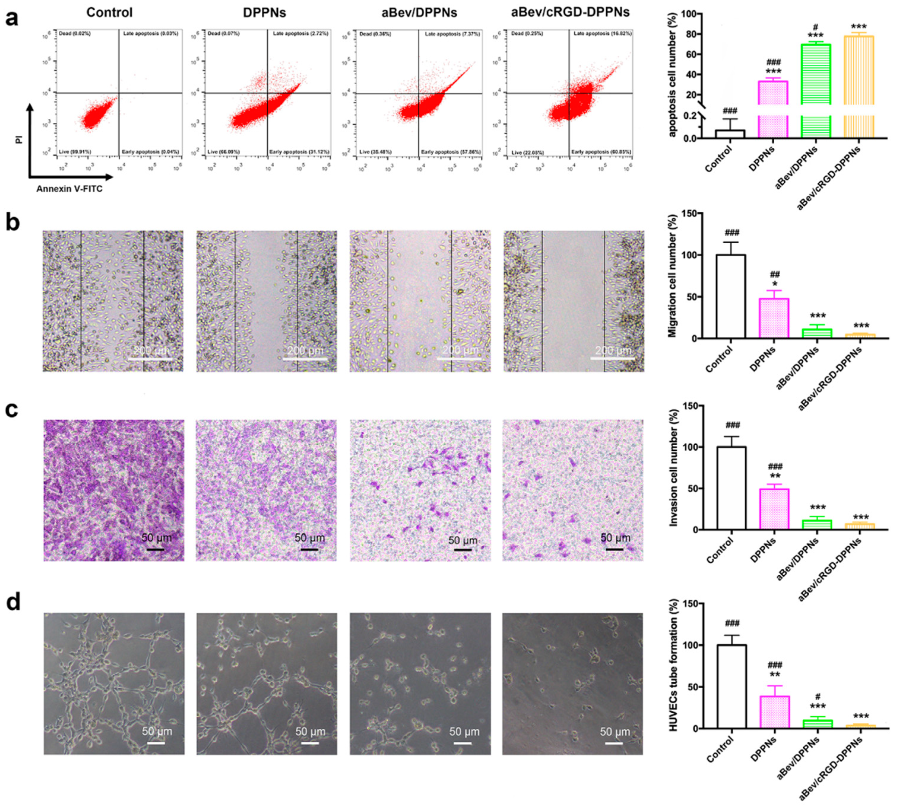 Molecules 25 04897 g004