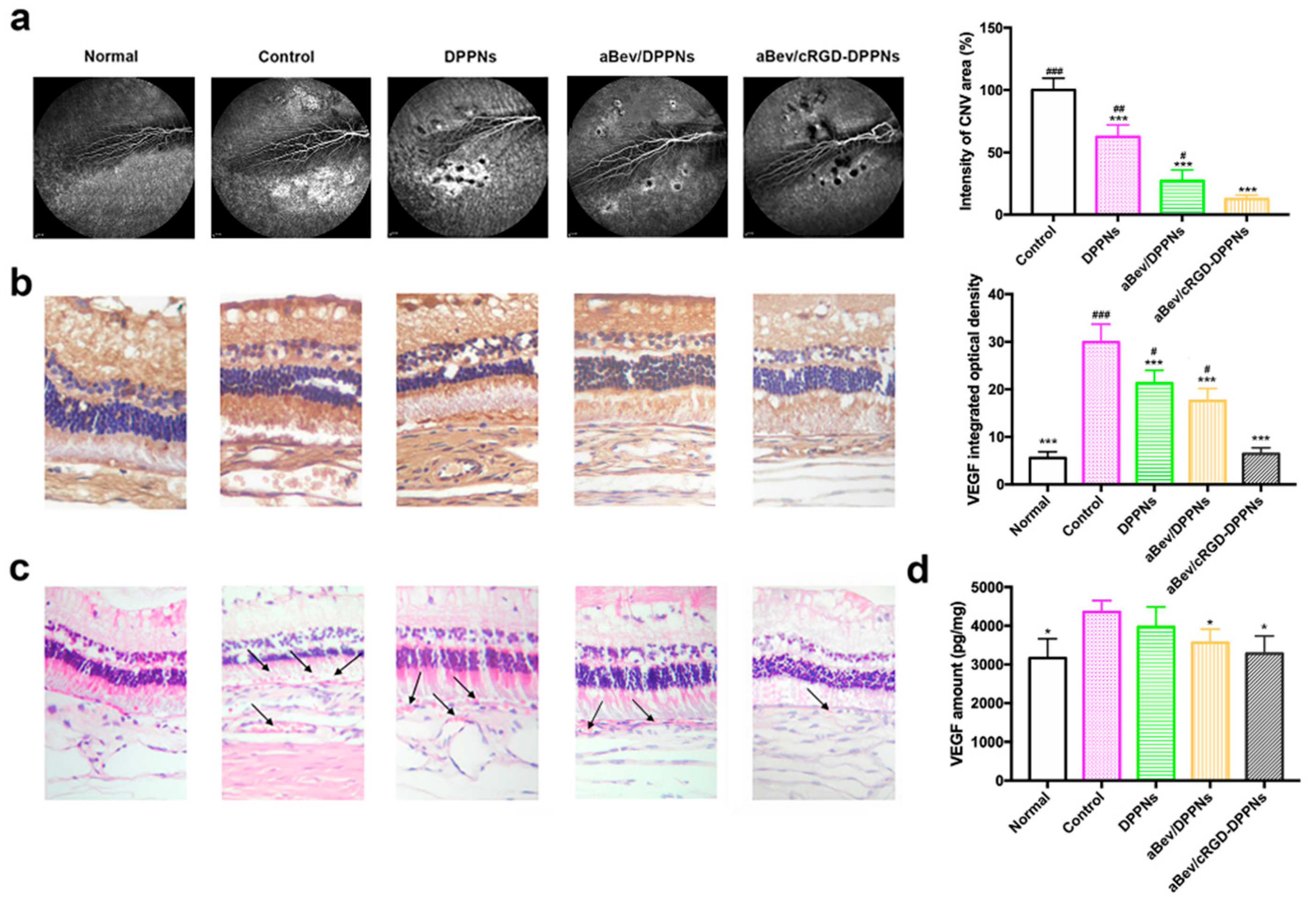 Molecules 25 04897 g005