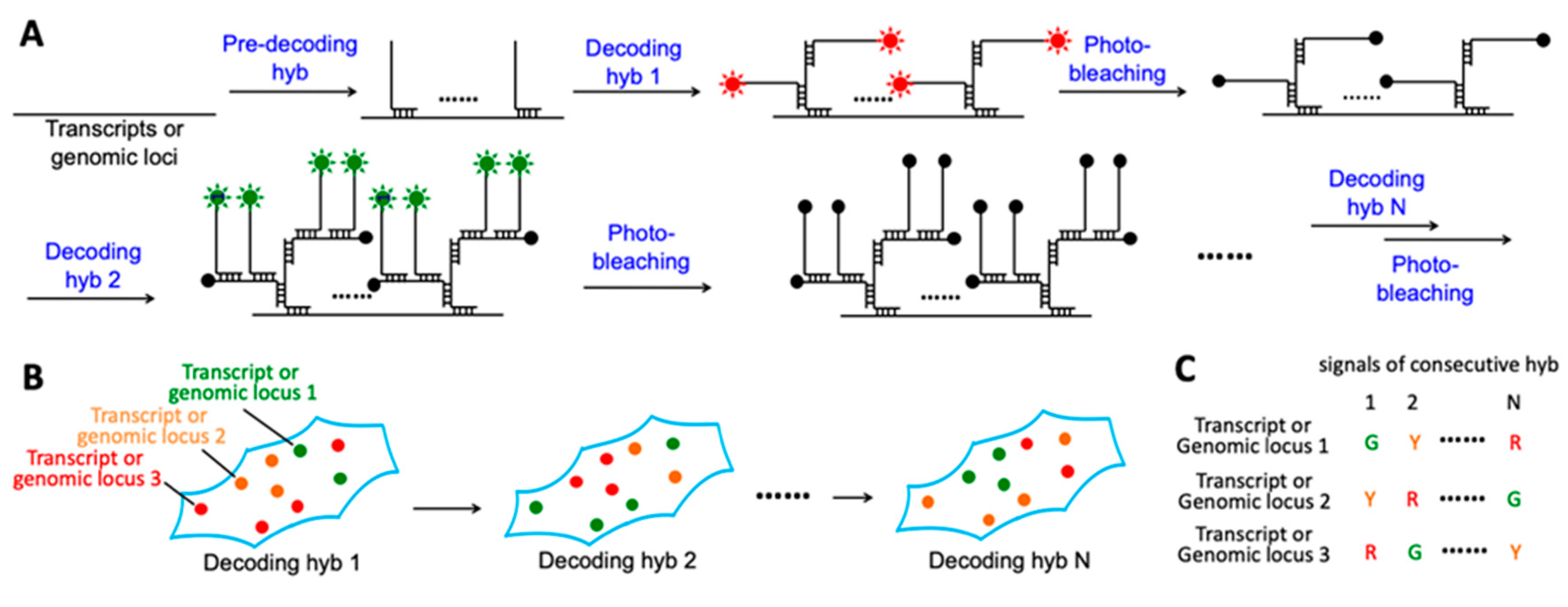 Molecules 25 04900 g001