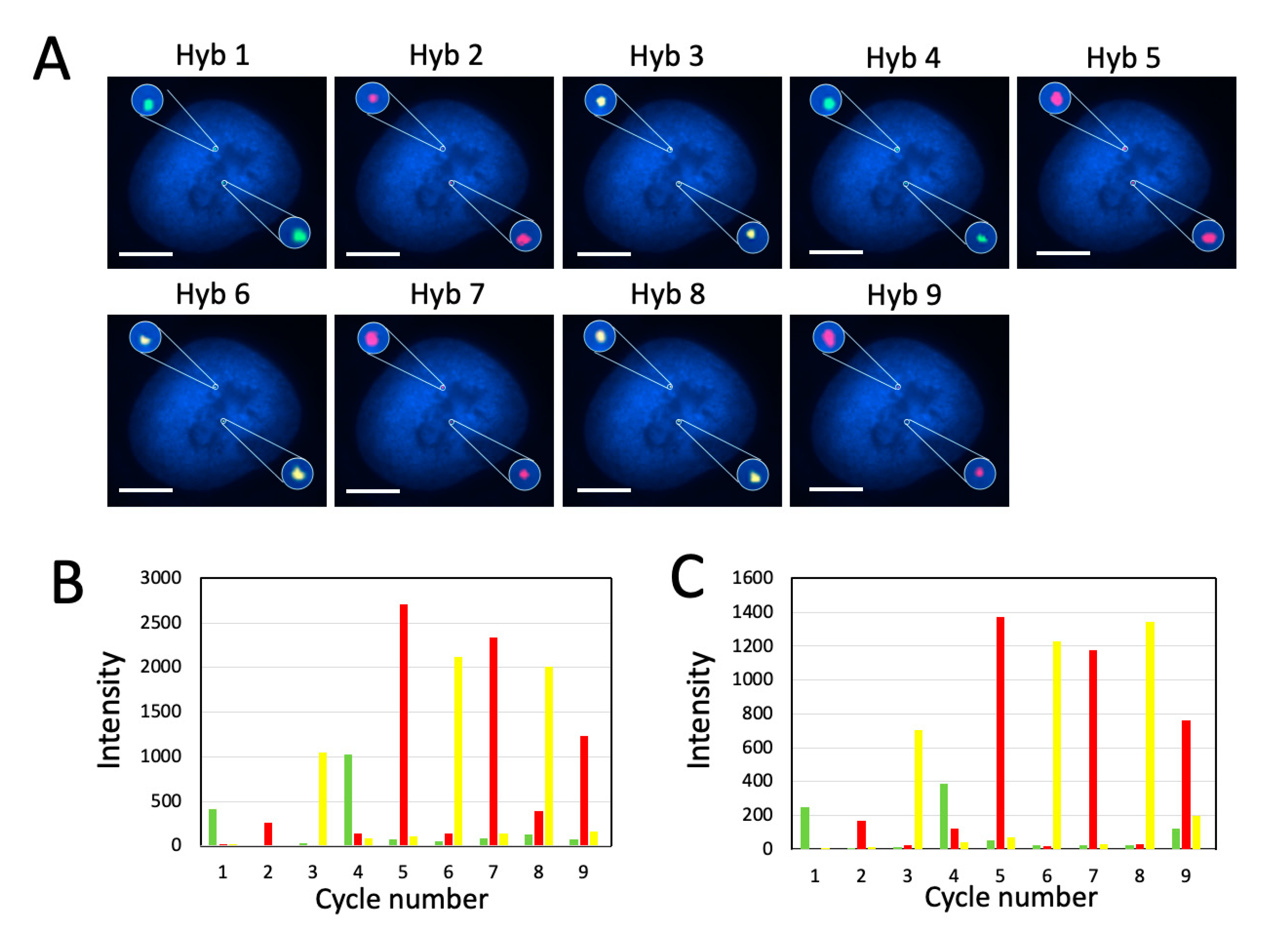 Molecules 25 04900 g005