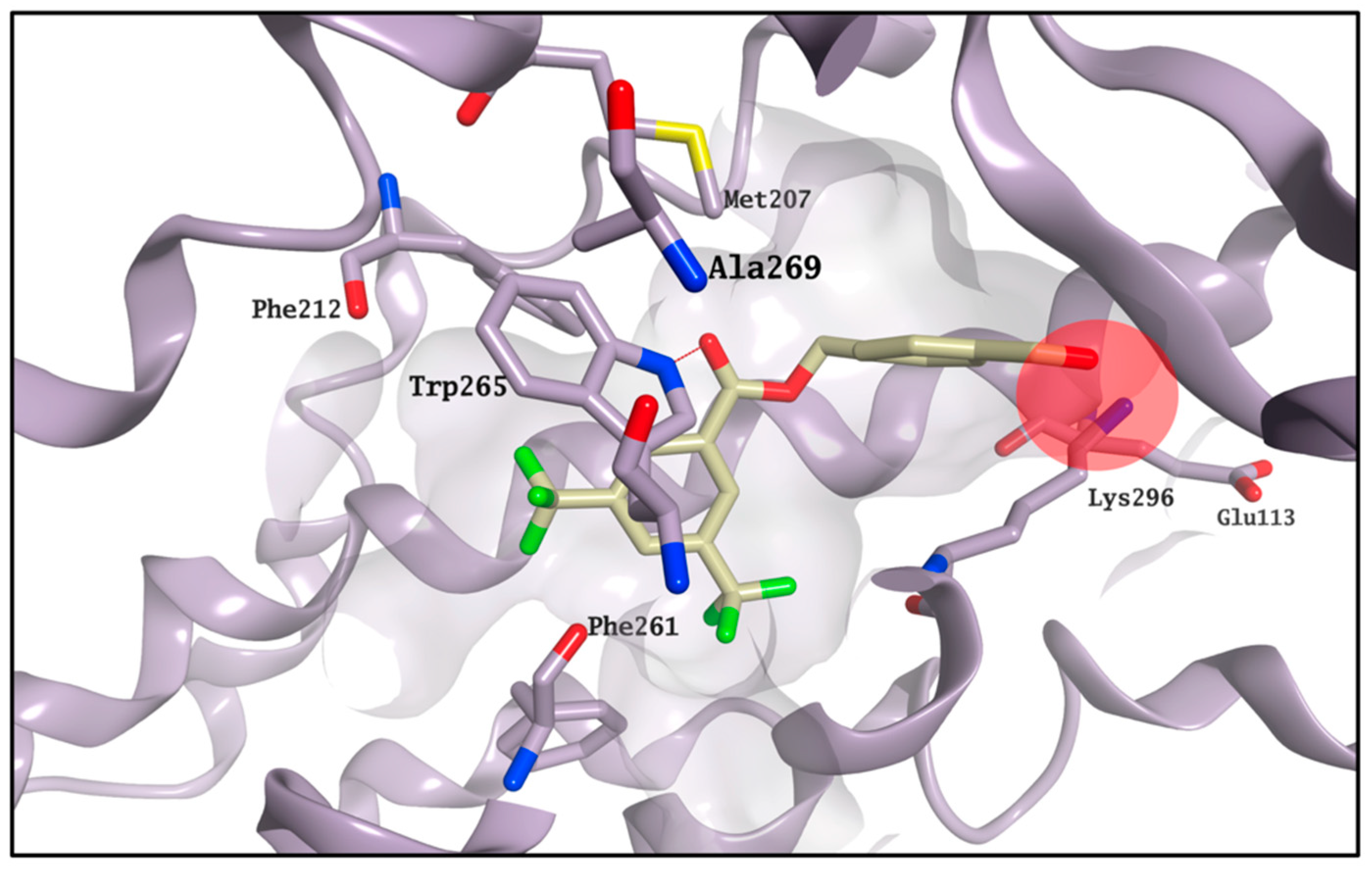 Molecules 25 04904 g008