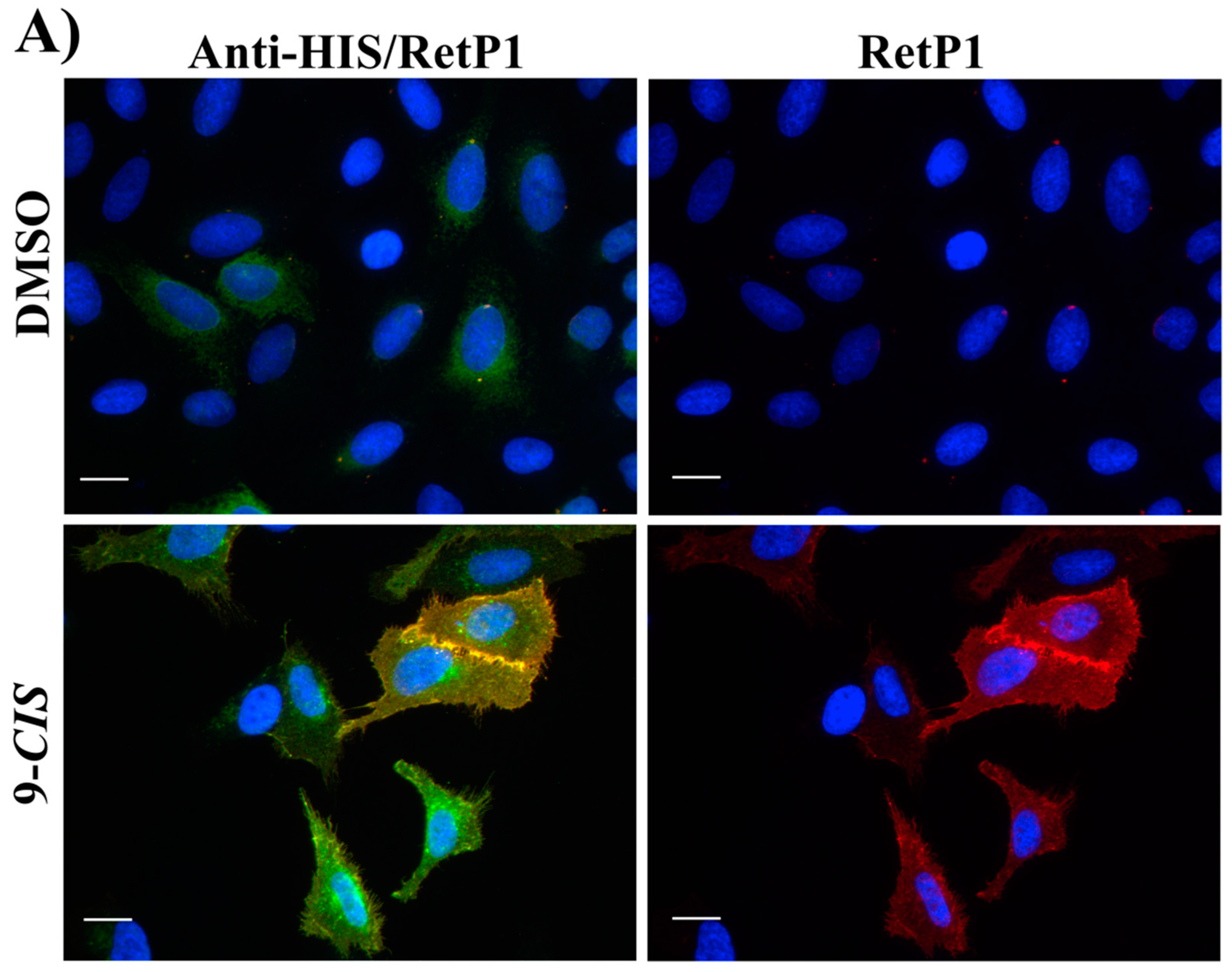Molecules 25 04904 g016a