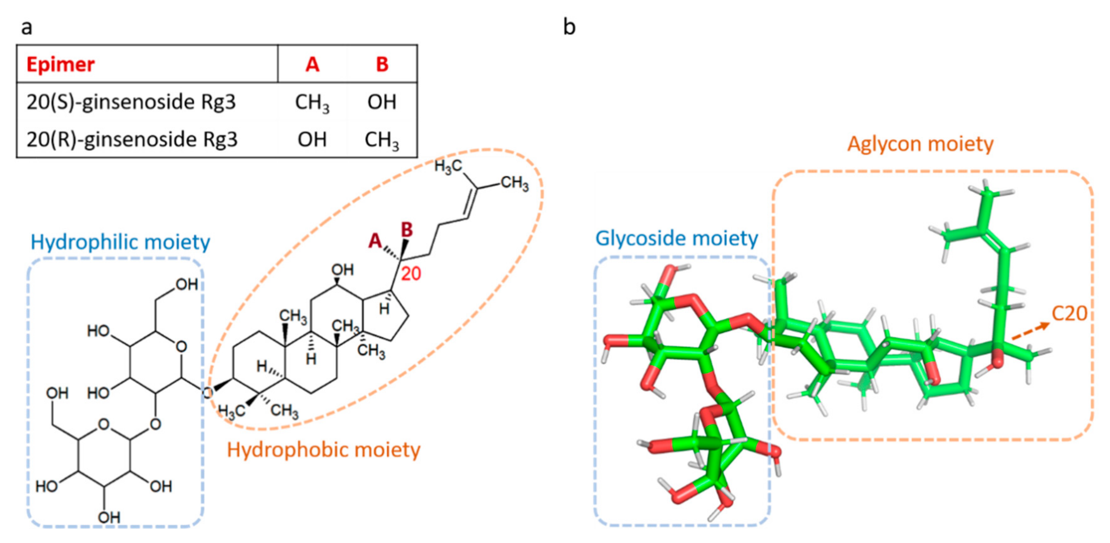 Molecules 25 04905 g001