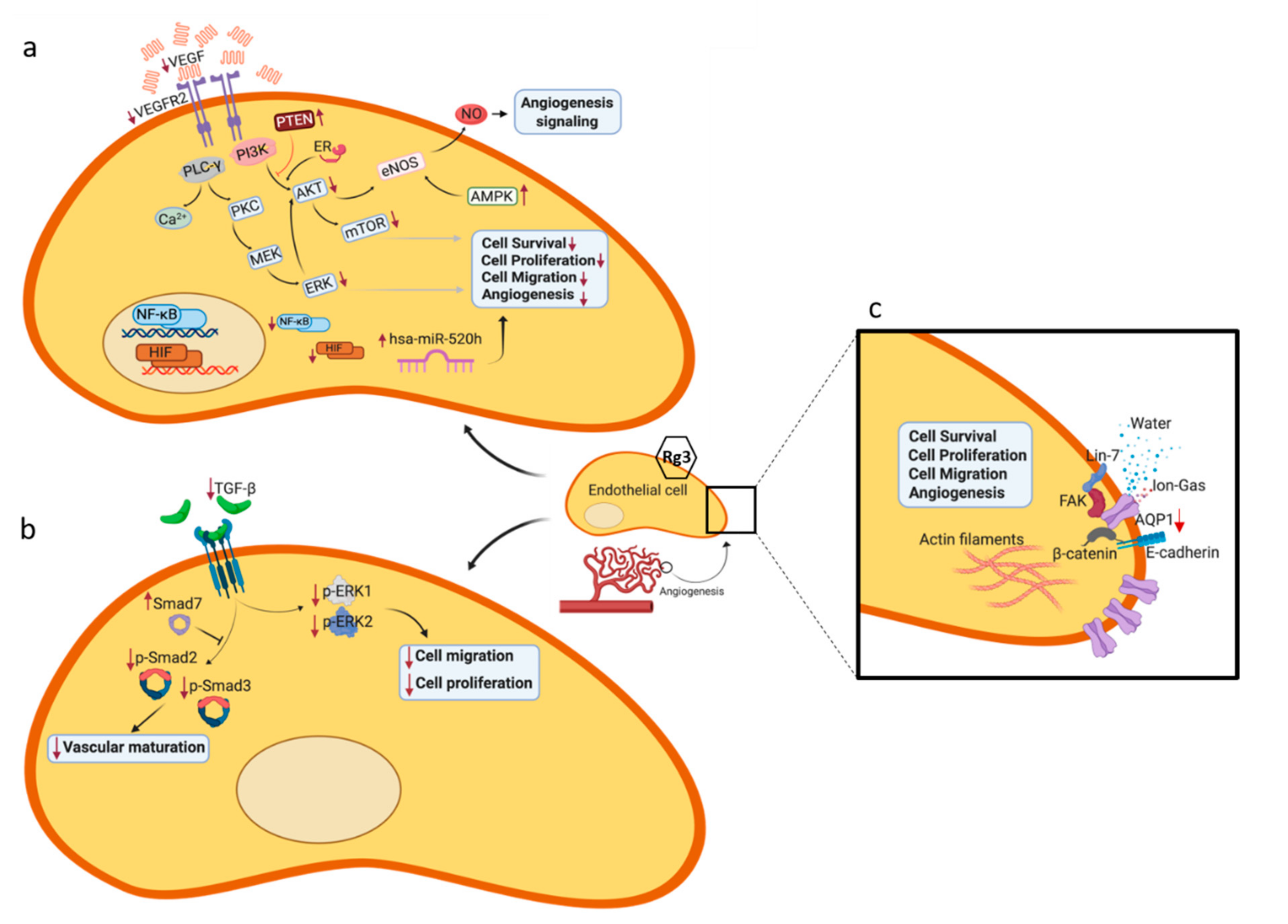 Molecules 25 04905 g002