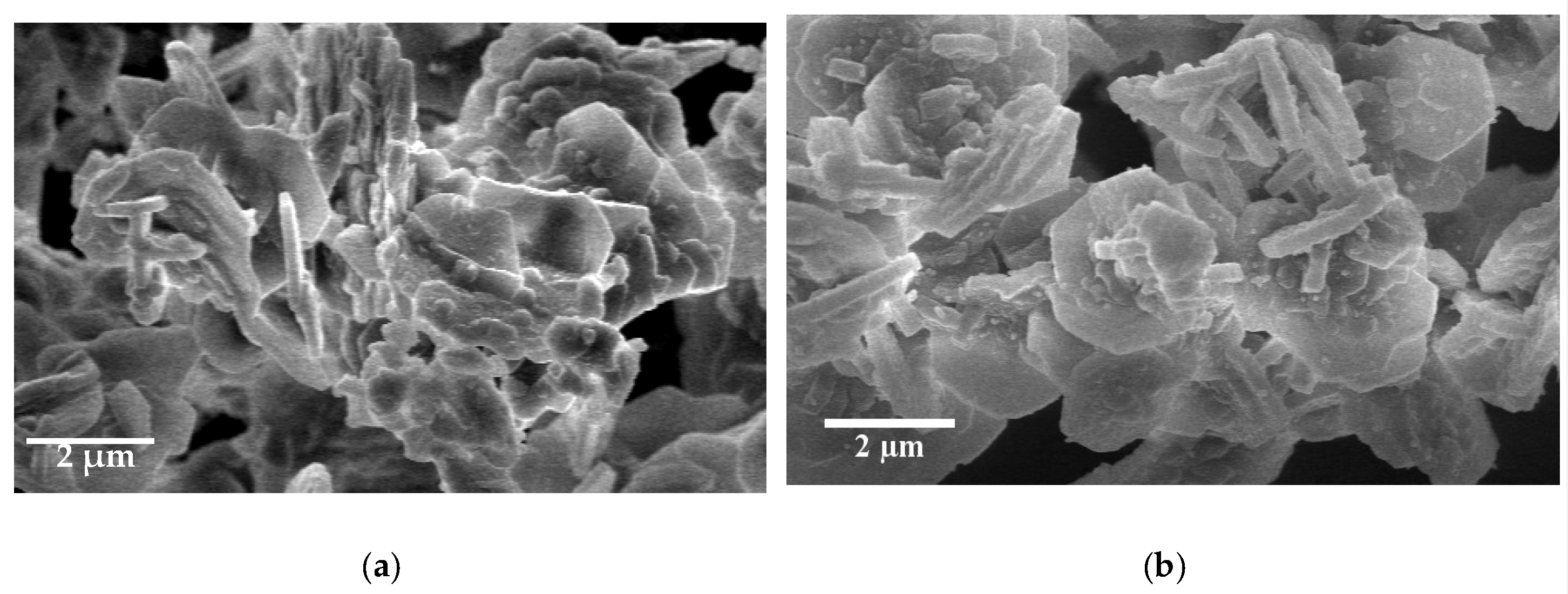 Molecules 25 04909 g002