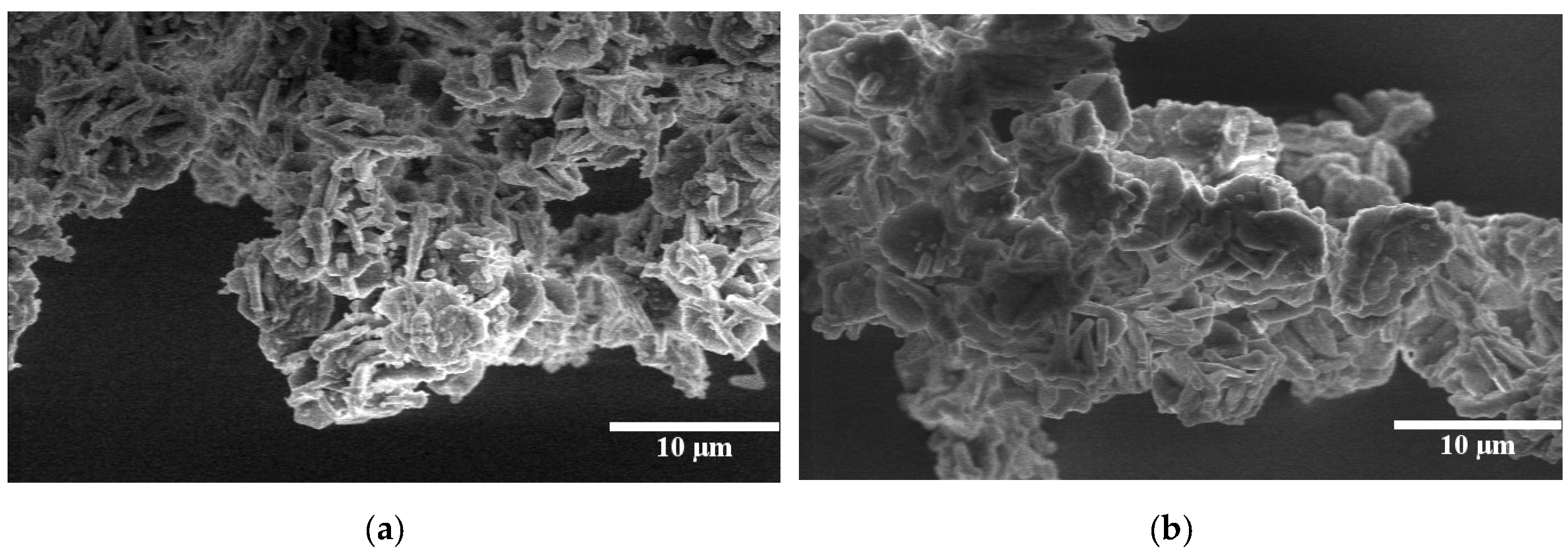 Molecules 25 04909 g007