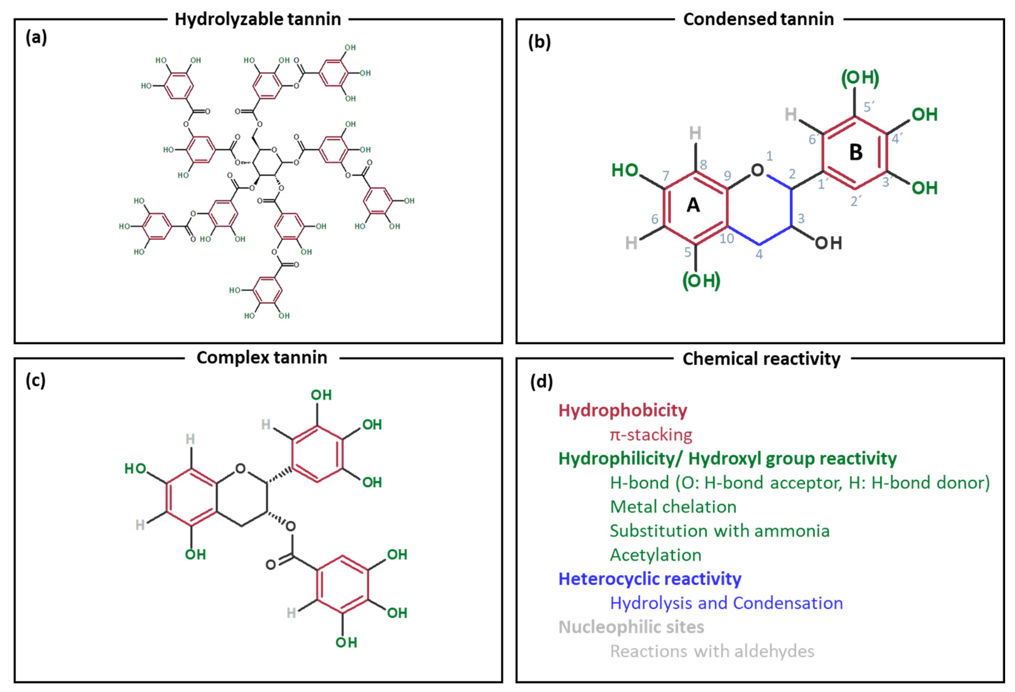 Molecules 25 04910 g001