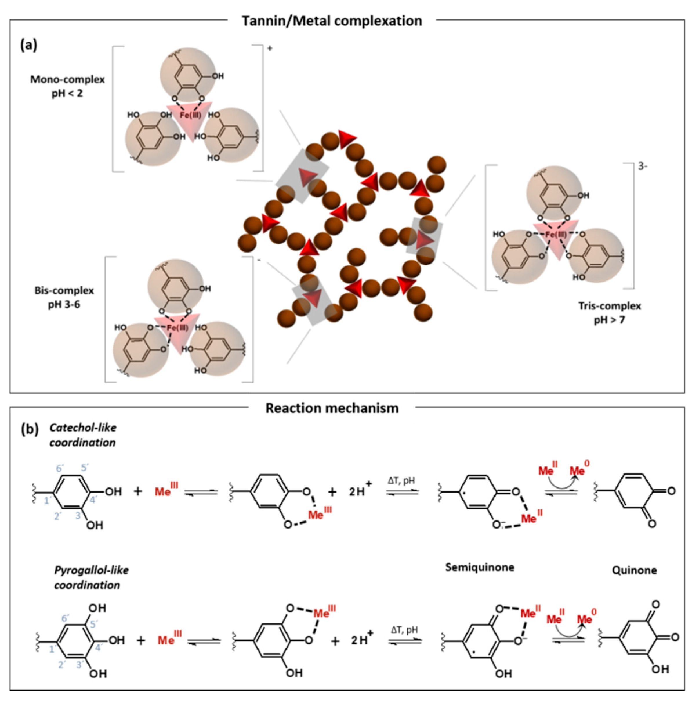 Molecules 25 04910 g002