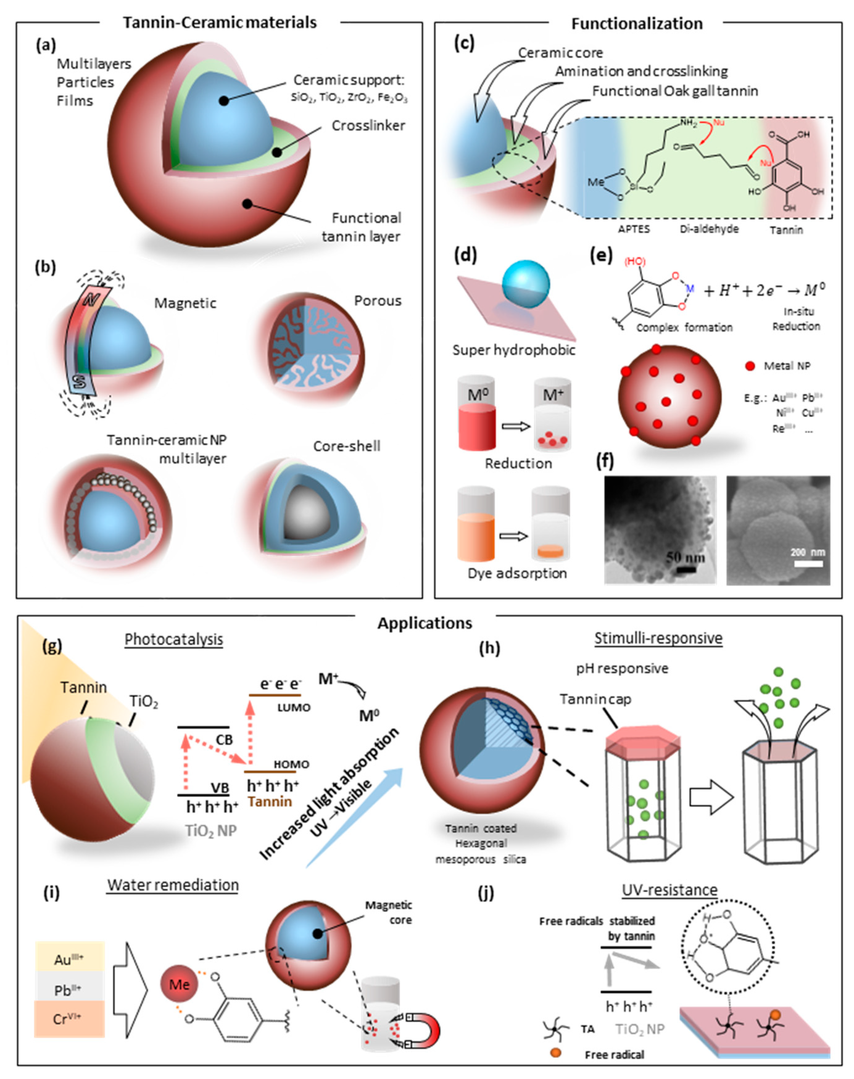 Molecules 25 04910 g003