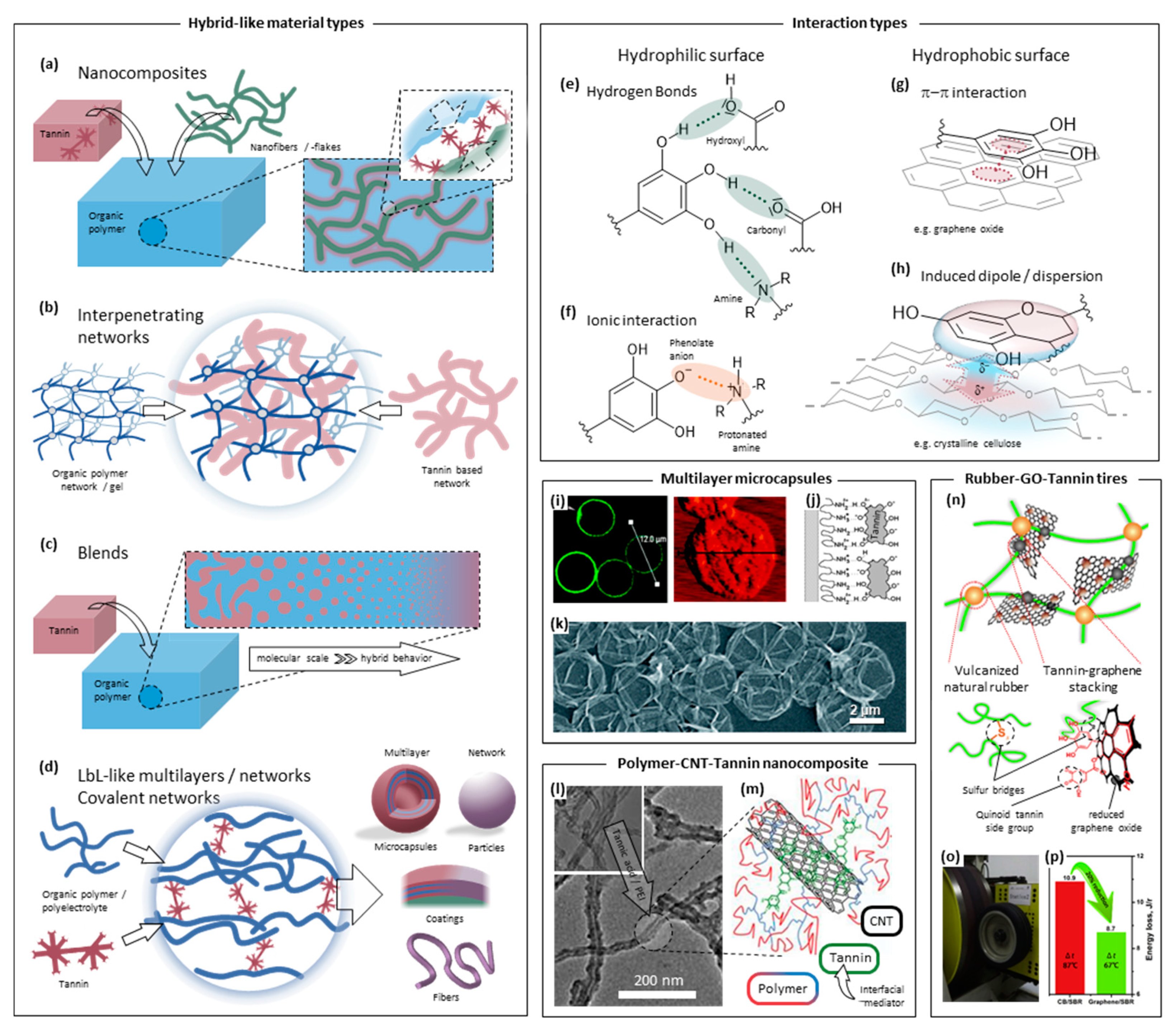 Molecules 25 04910 g004