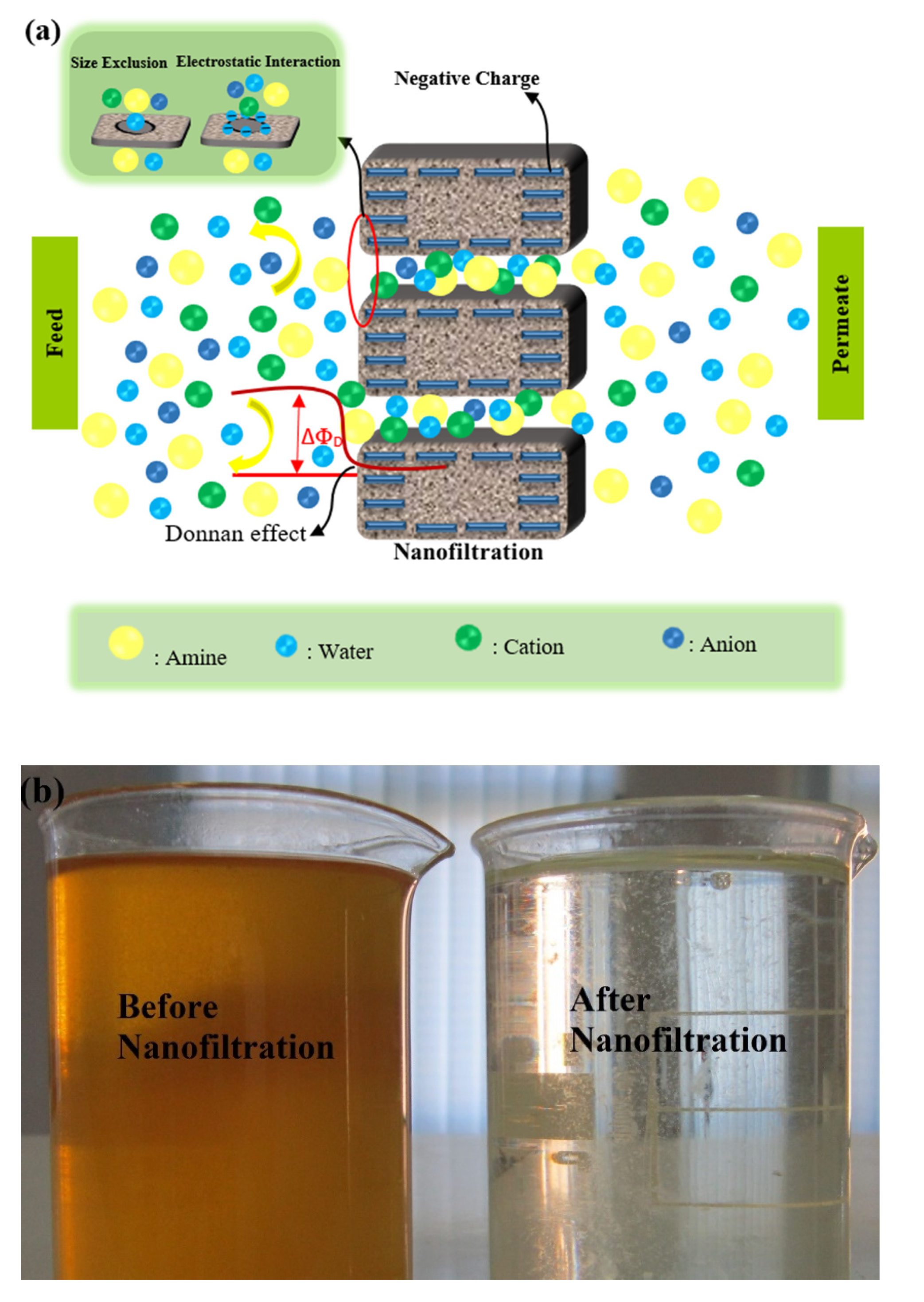 Molecules 25 04911 g004