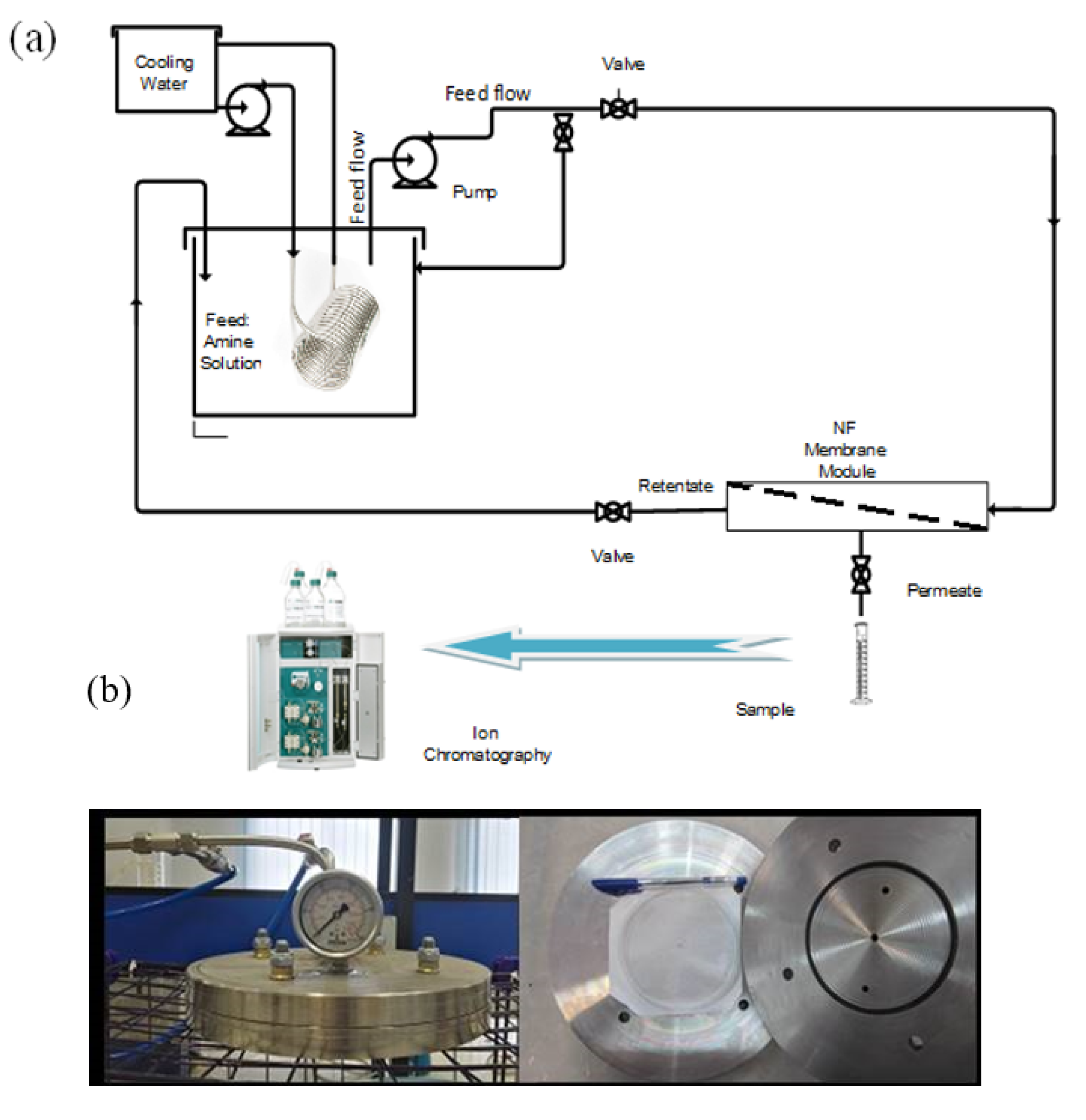 Molecules 25 04911 g007