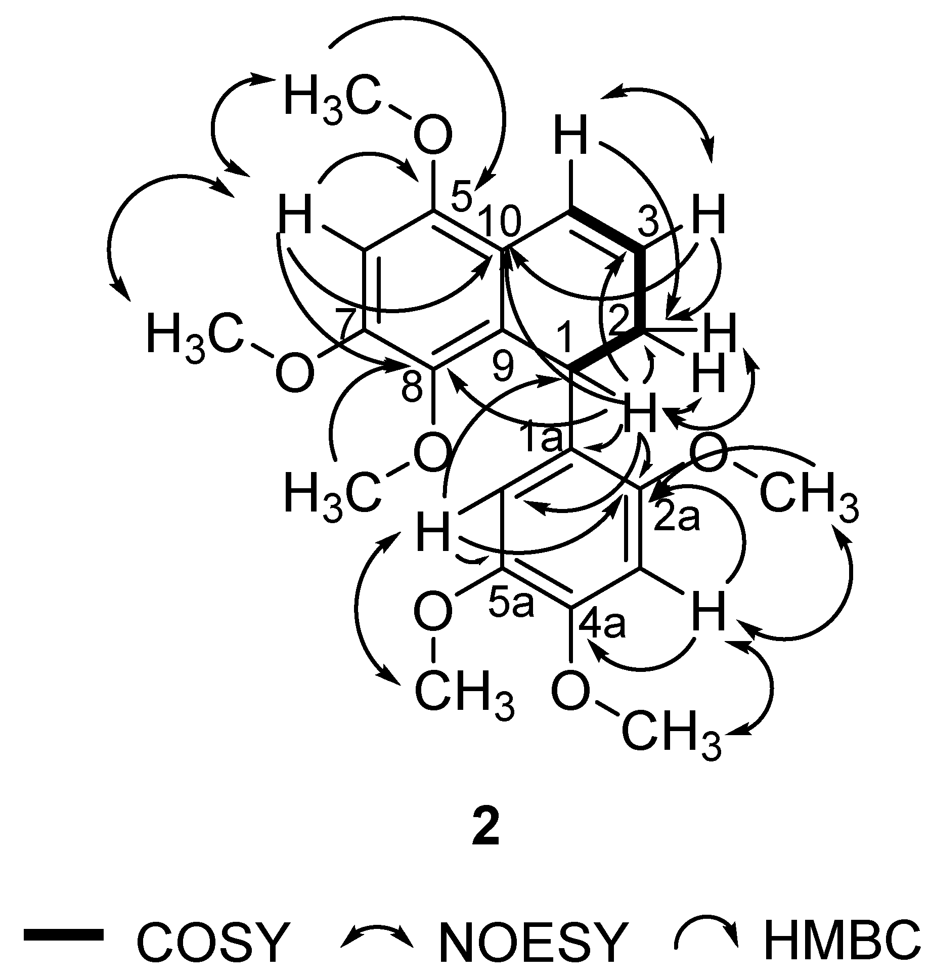 Molecules 25 04914 g002