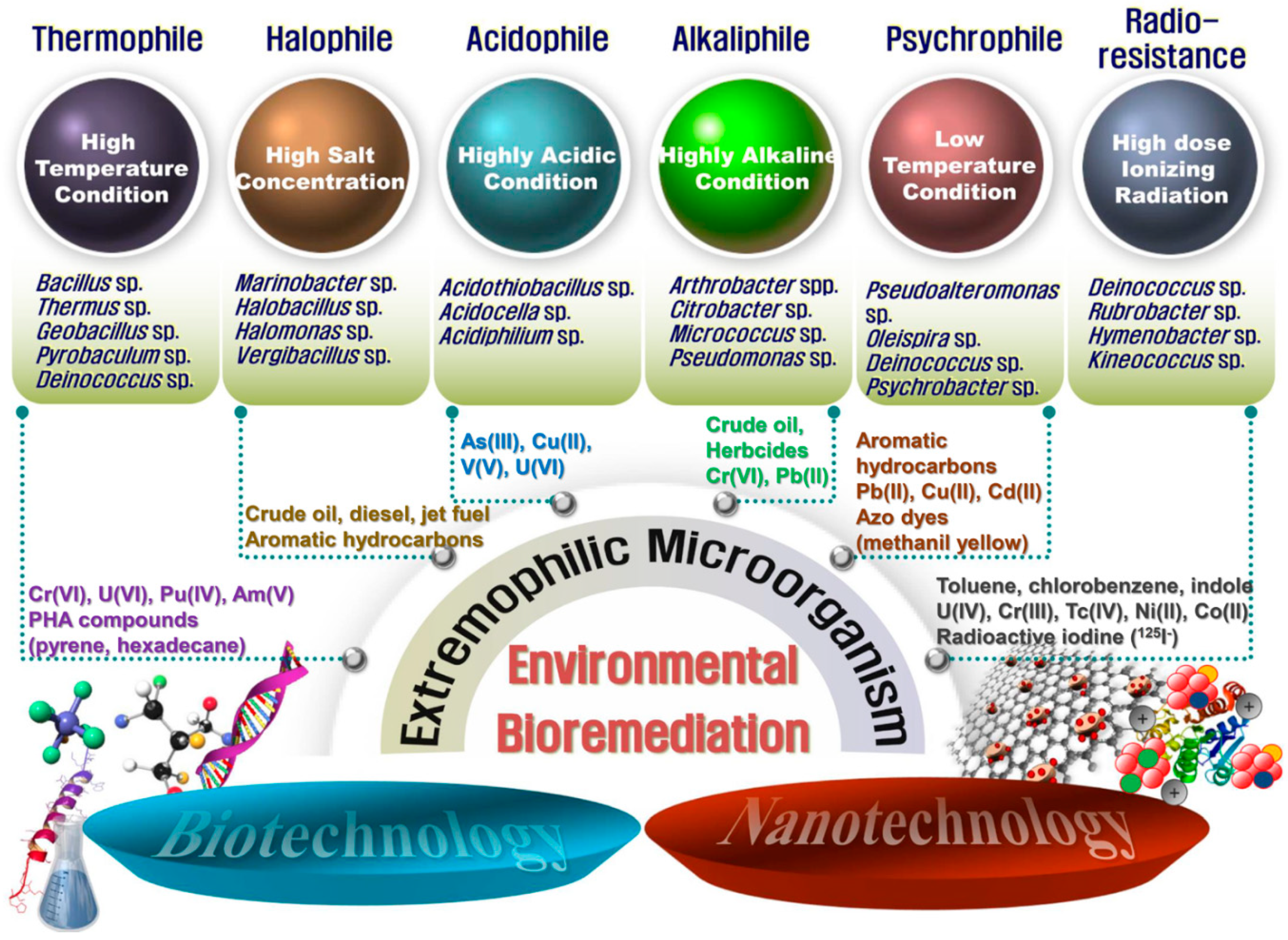 Molecules 25 04916 g002