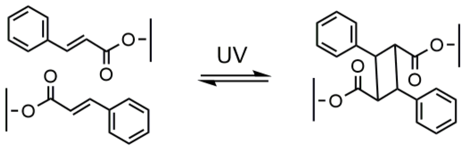 Molecules 25 04919 g004