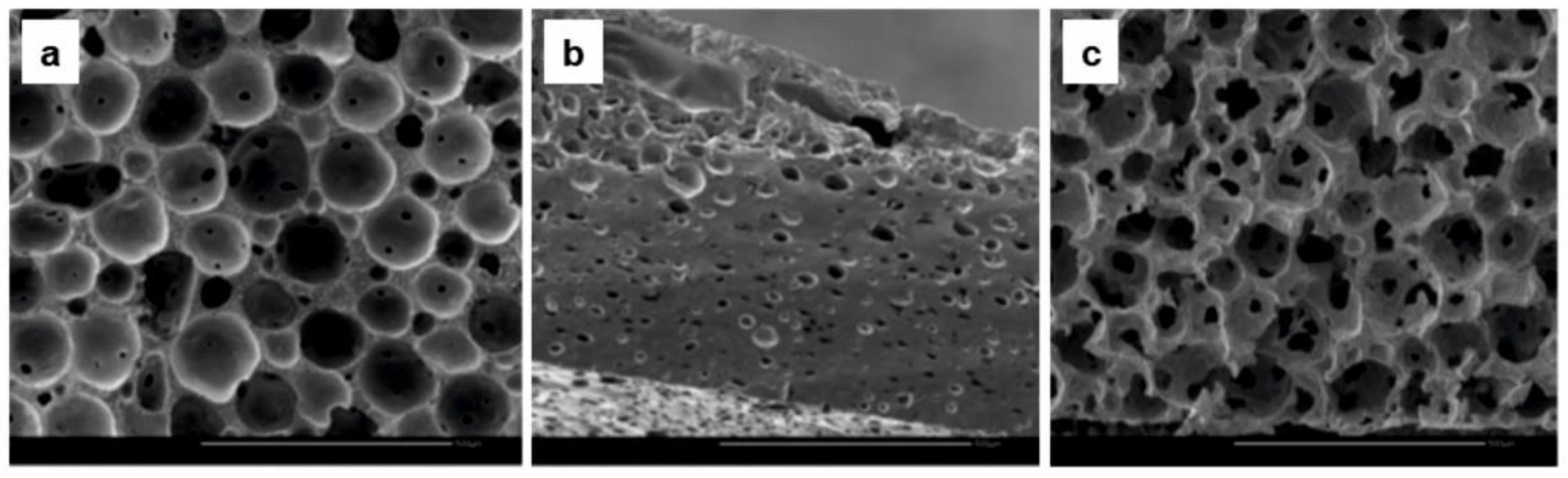 Molecules 25 04919 g008