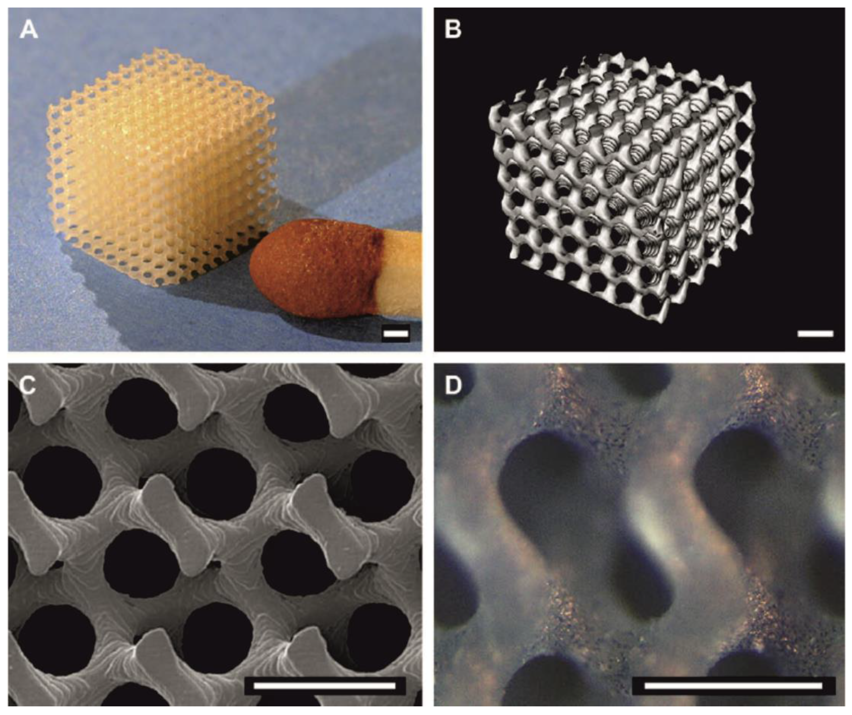 Molecules 25 04919 g009