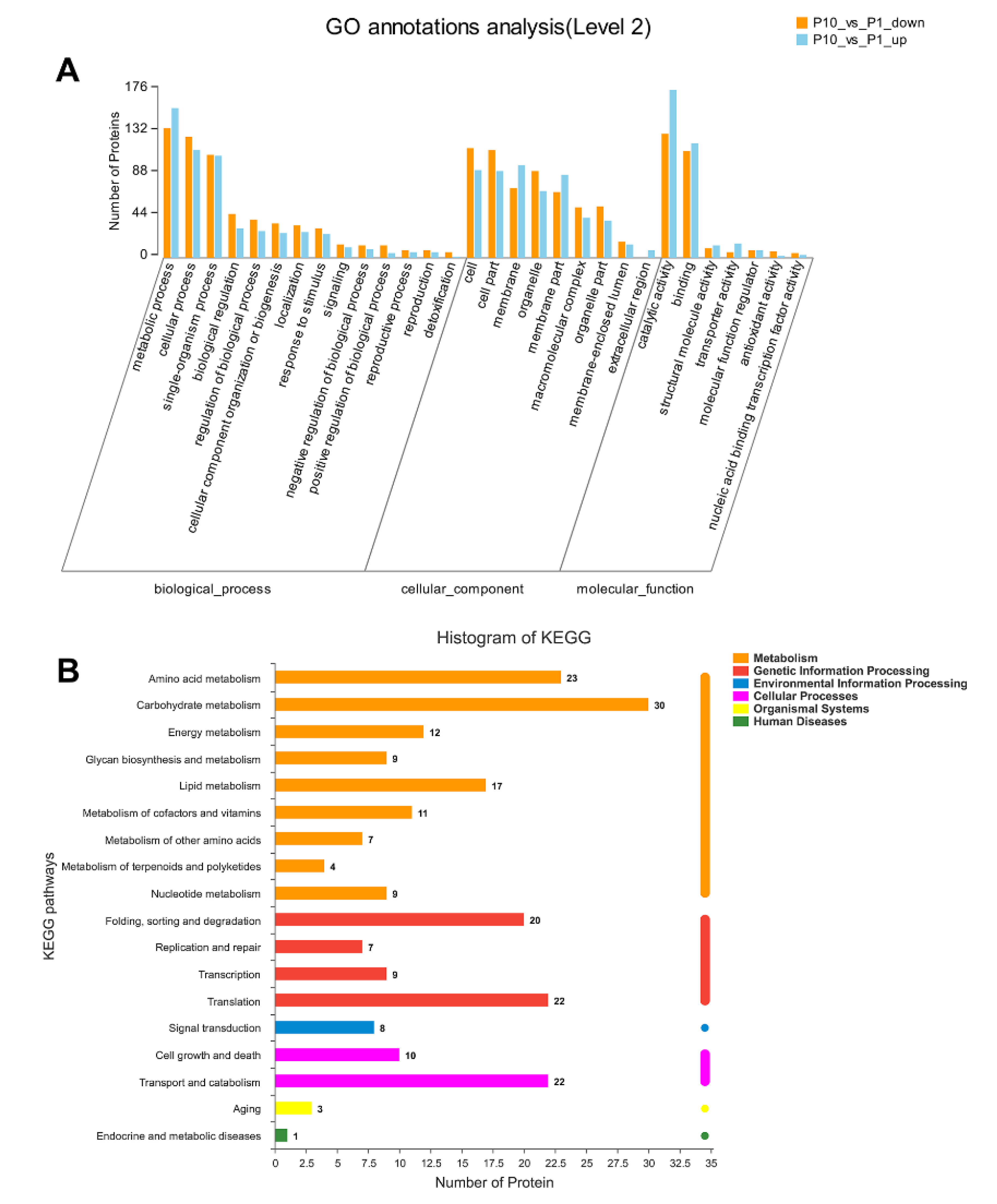 Molecules 25 04920 g002