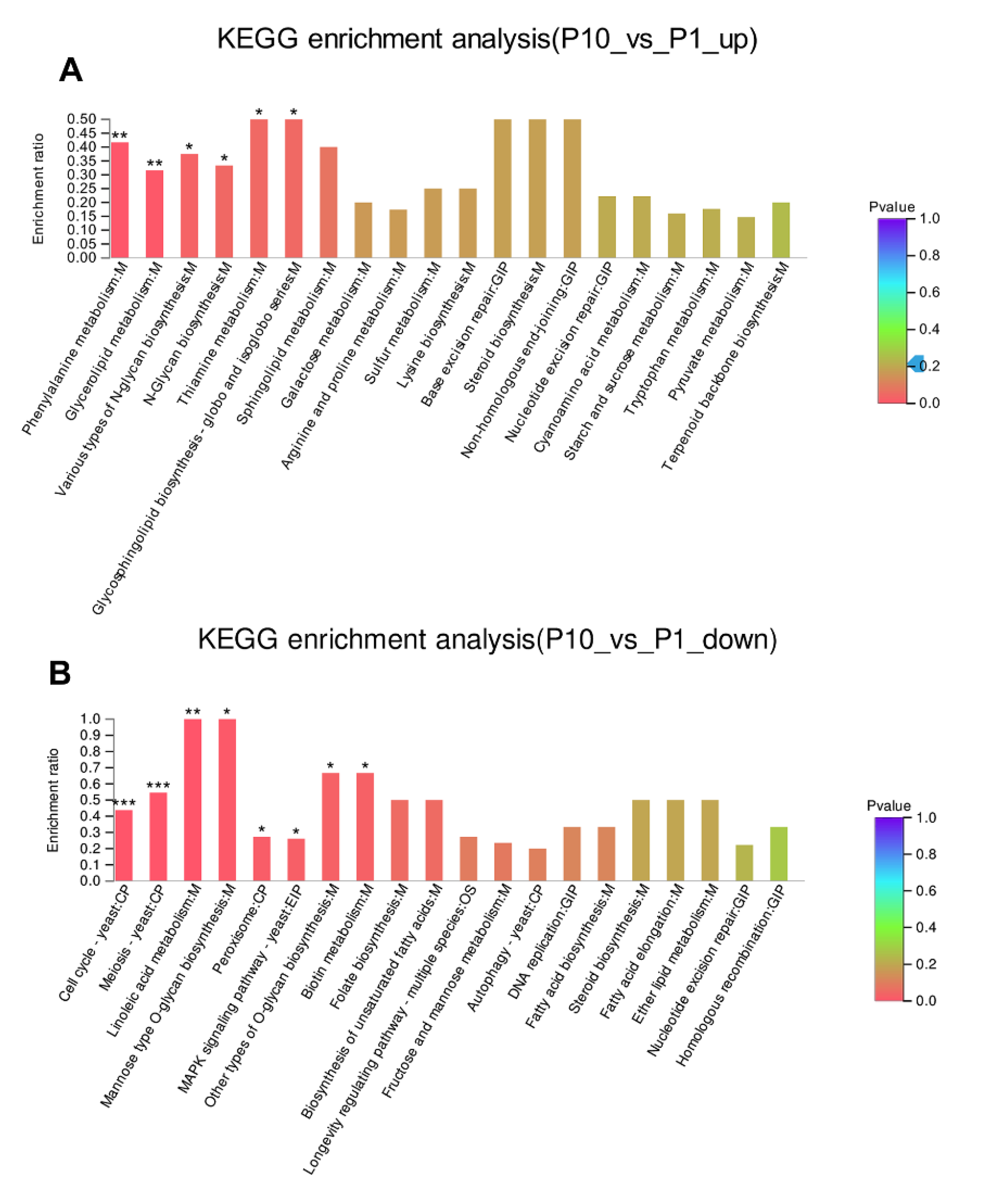 Molecules 25 04920 g004