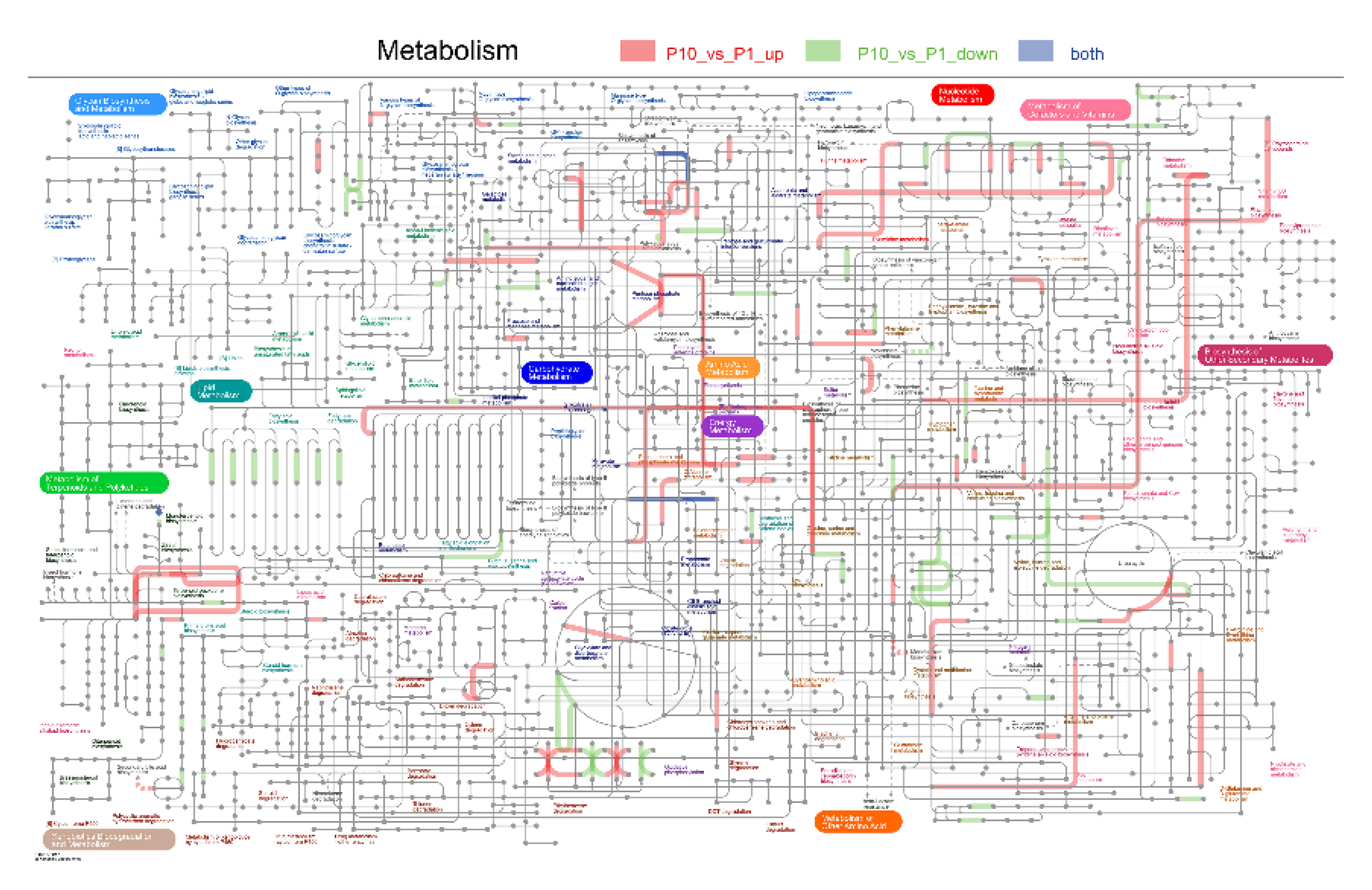 Molecules 25 04920 g009