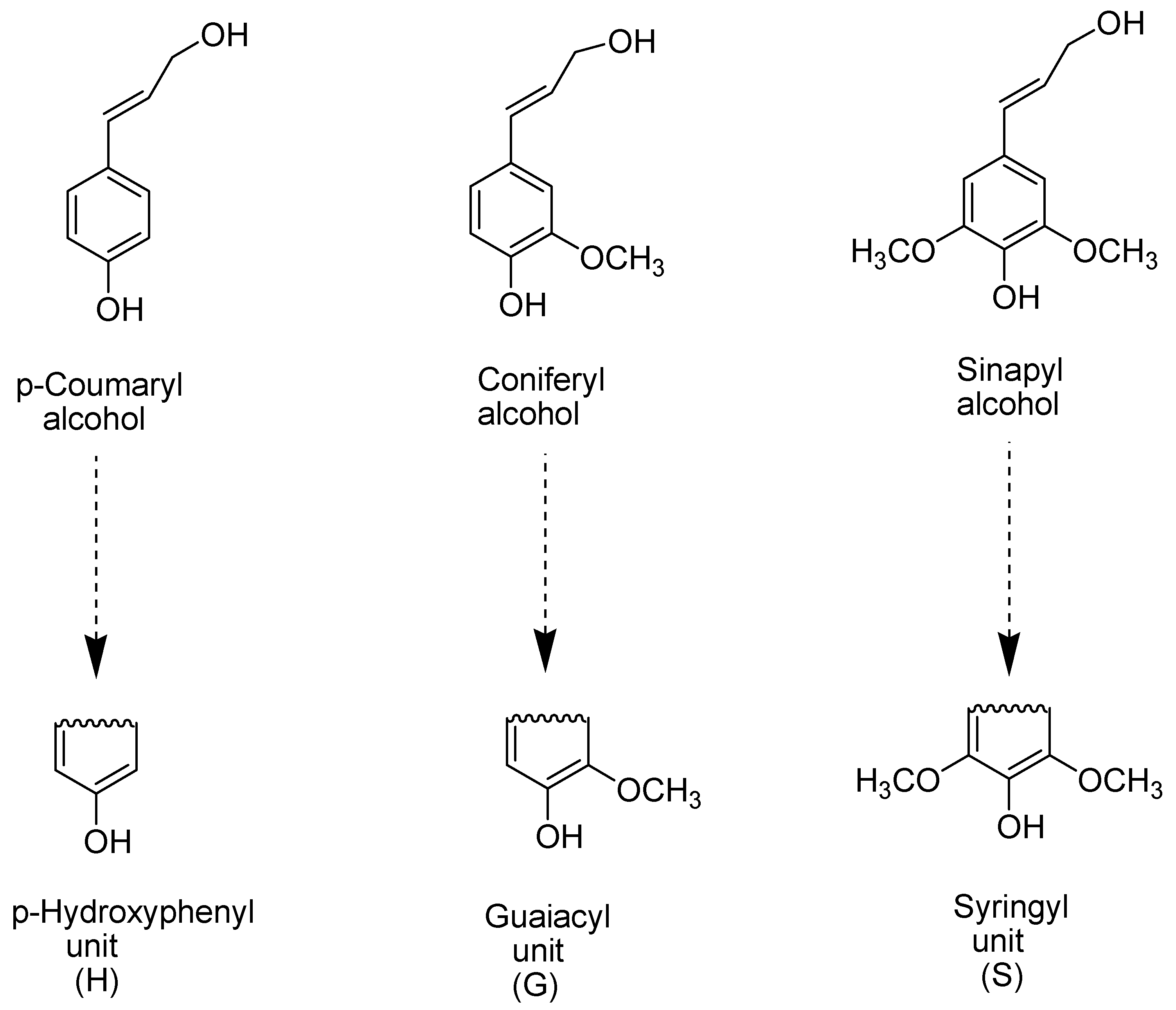 Molecules 25 04921 g001