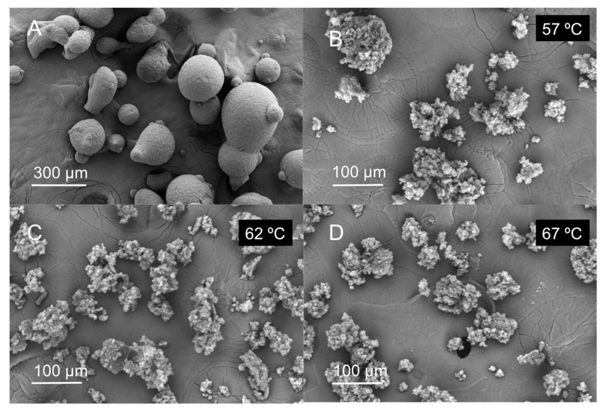 Molecules 25 04927 g003