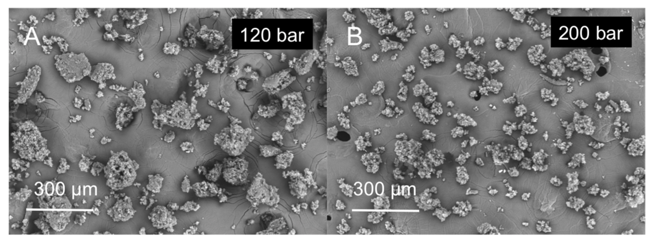 Molecules 25 04927 g004