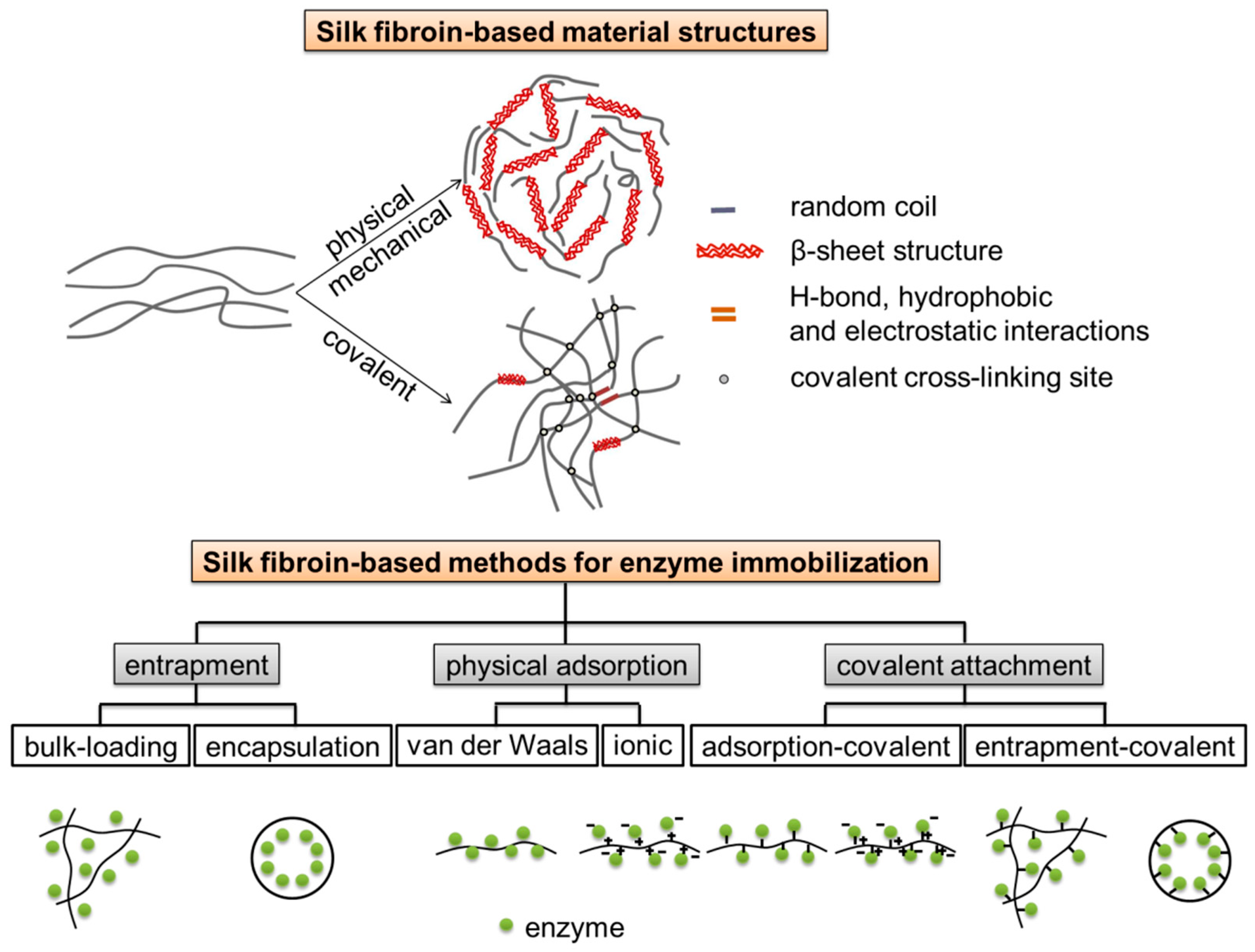 Molecules 25 04929 g001