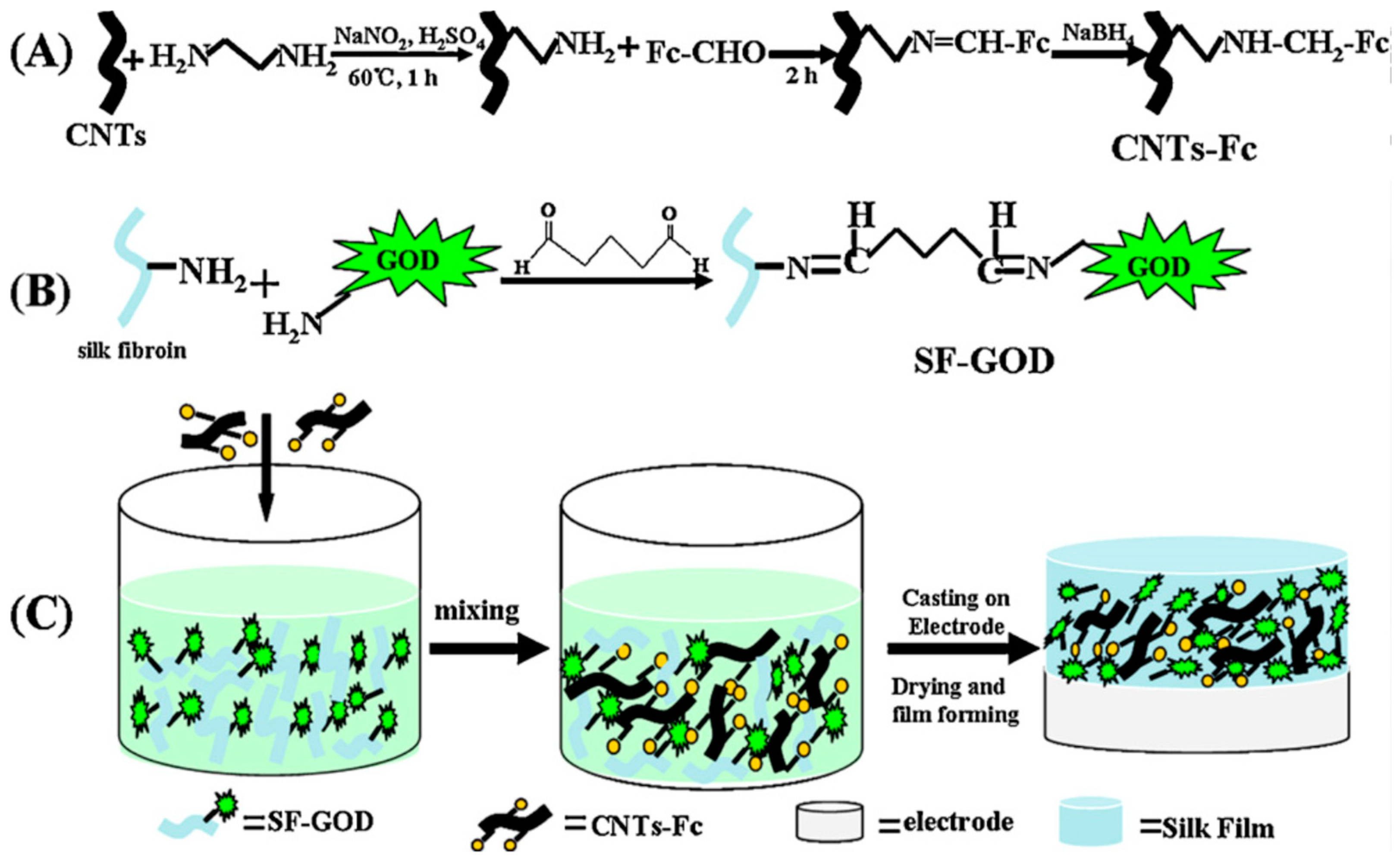 Molecules 25 04929 g004
