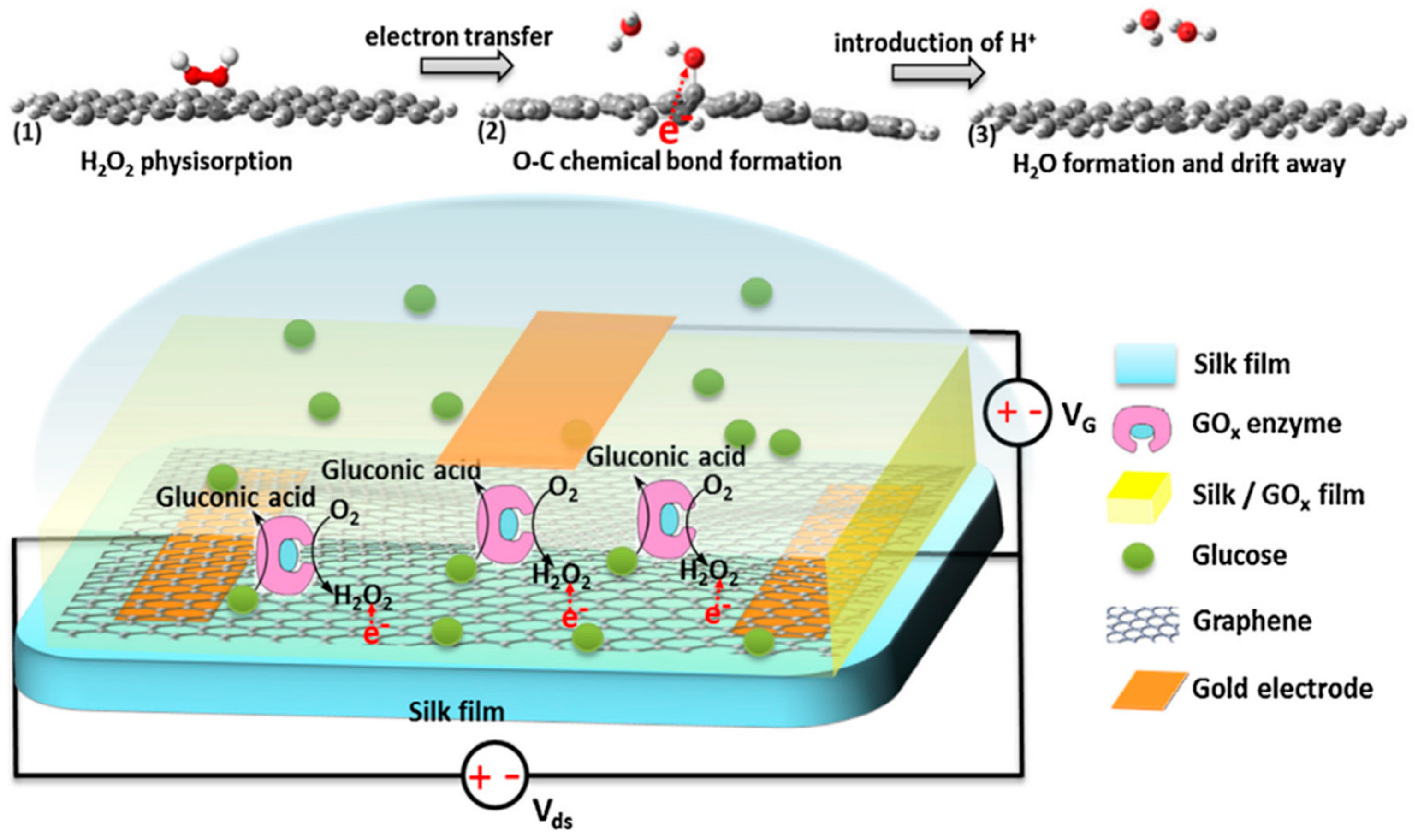 Molecules 25 04929 g005