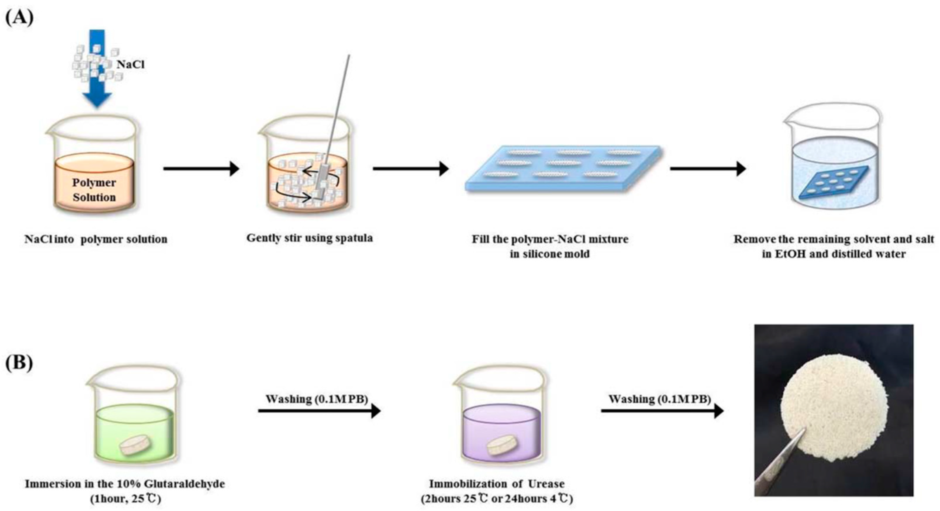 Molecules 25 04929 g006