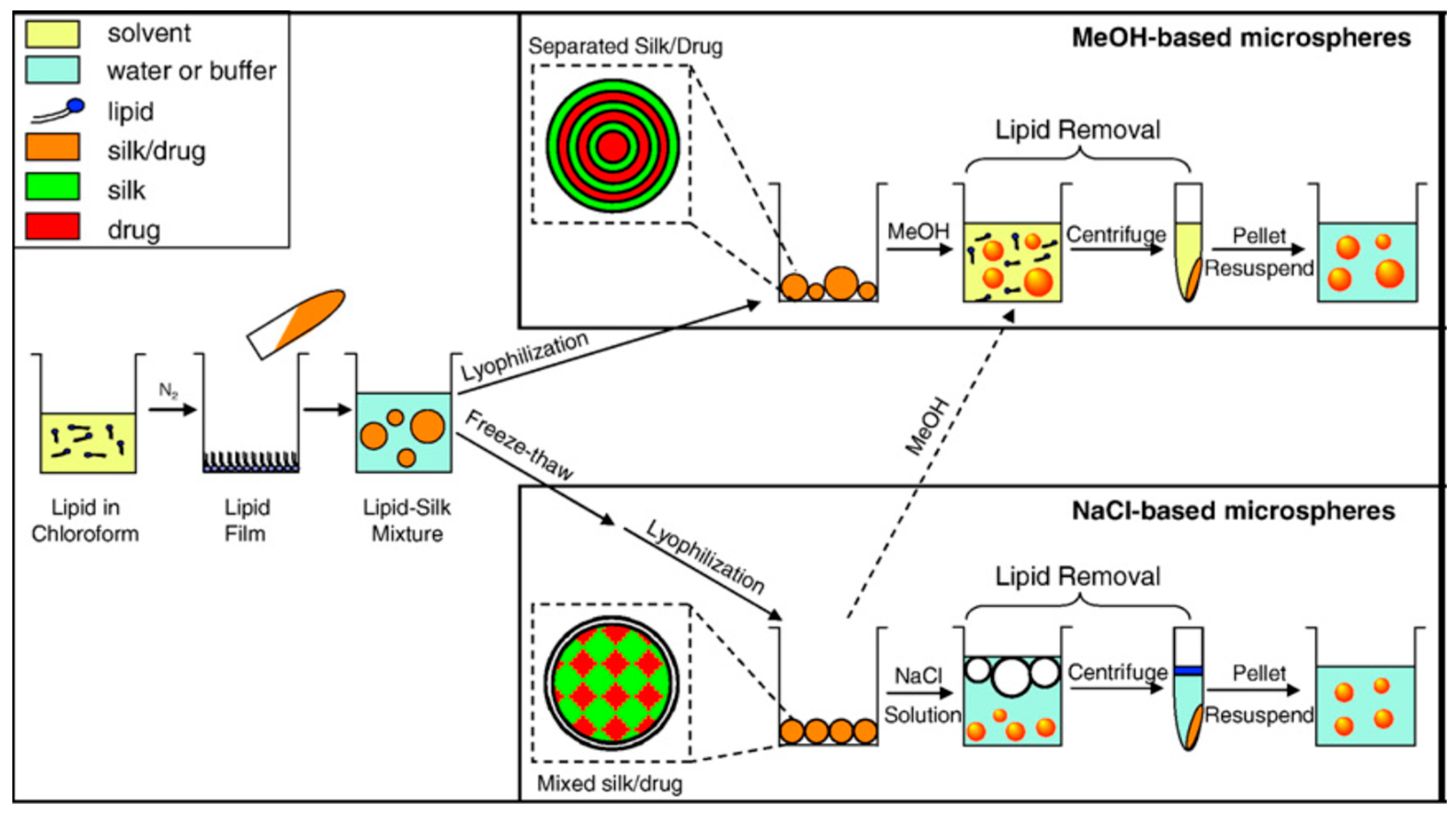 Molecules 25 04929 g008
