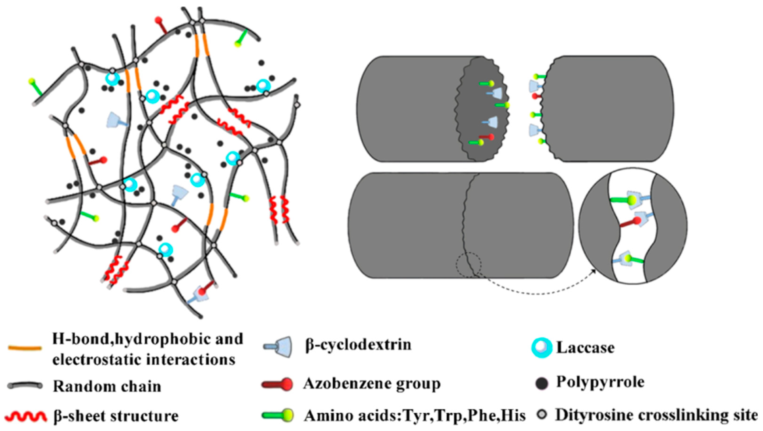 Molecules 25 04929 g014
