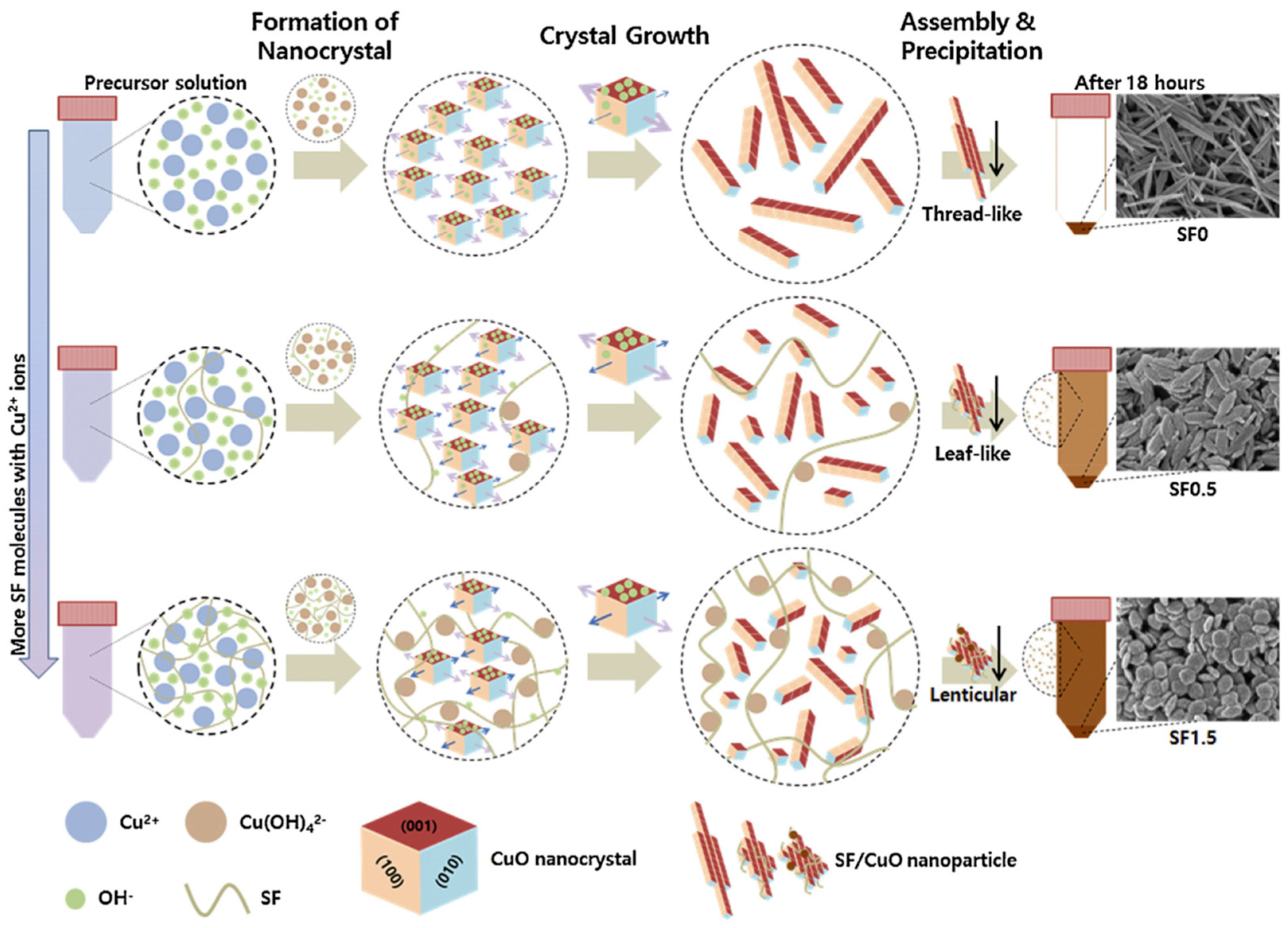 Molecules 25 04929 g025