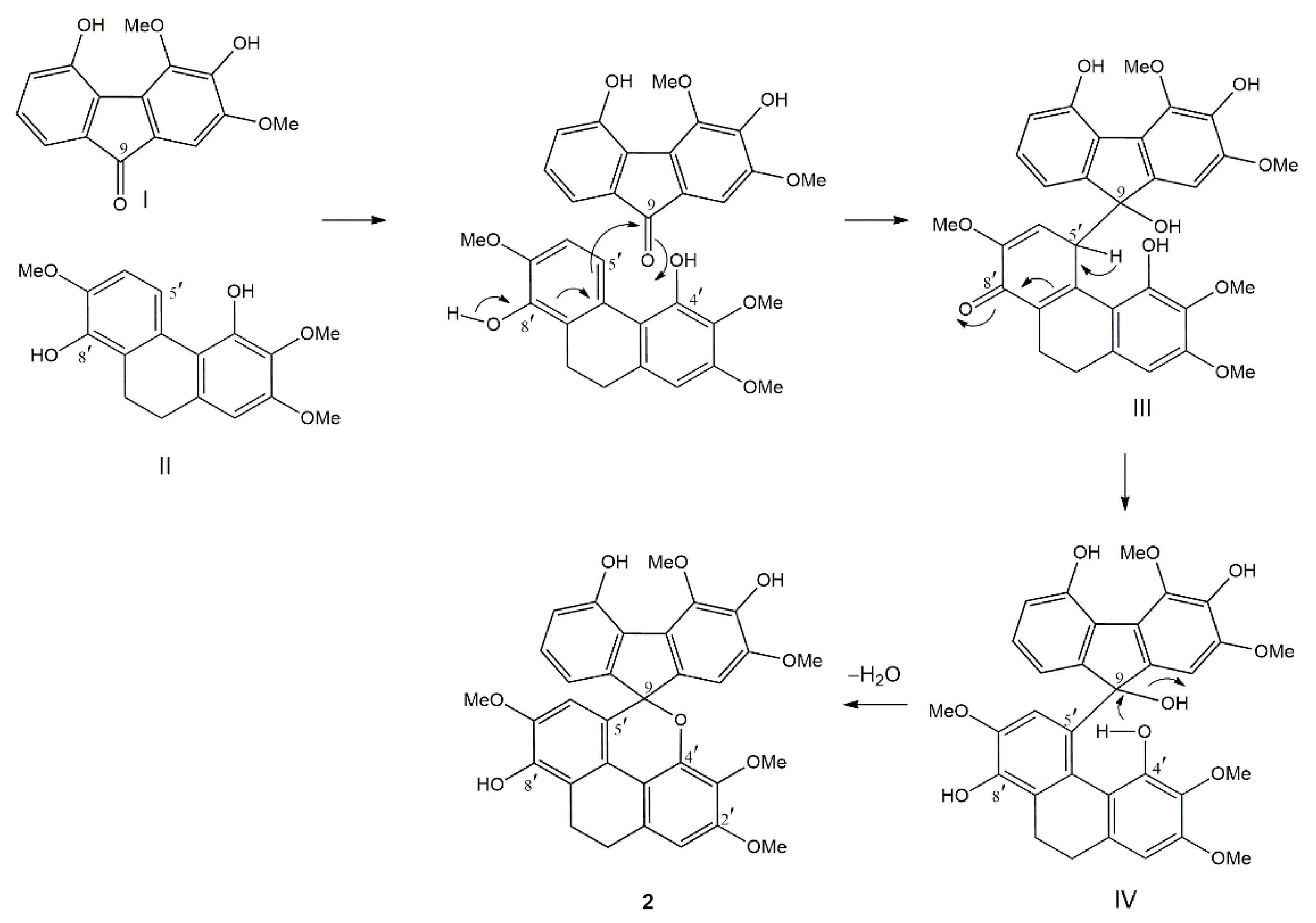 Molecules 25 04931 g002
