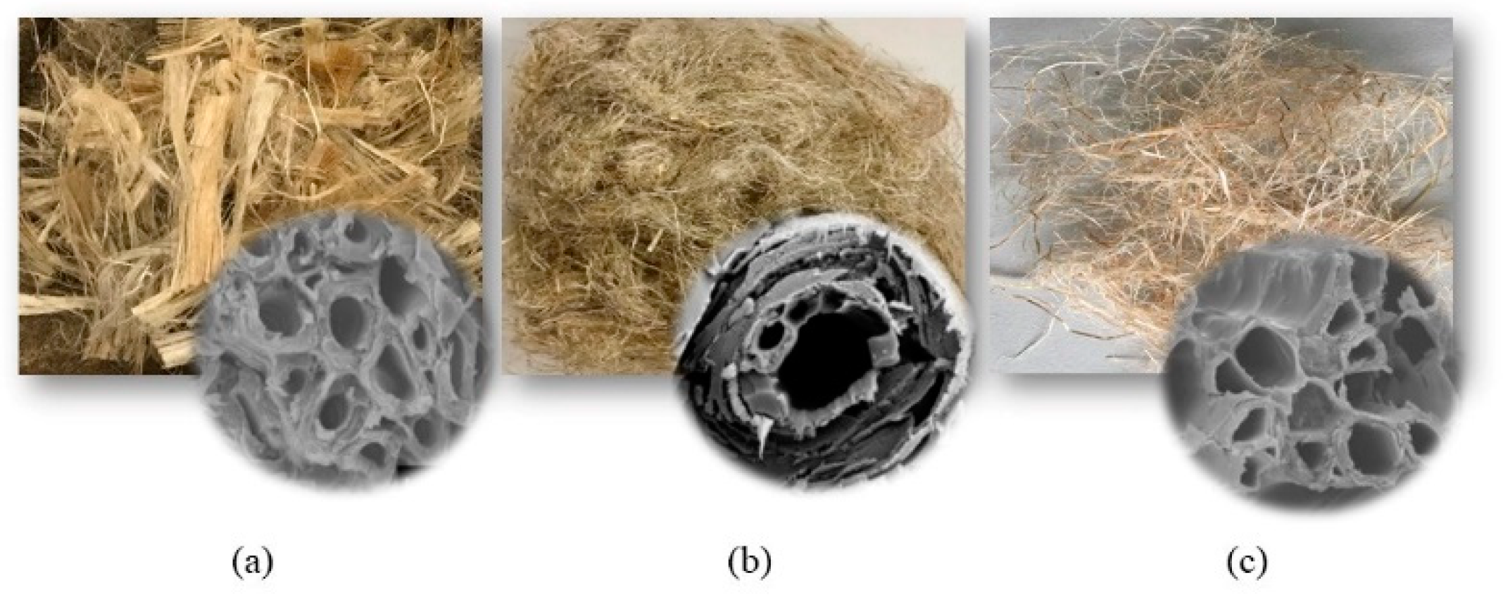 Molecules 25 04933 g003