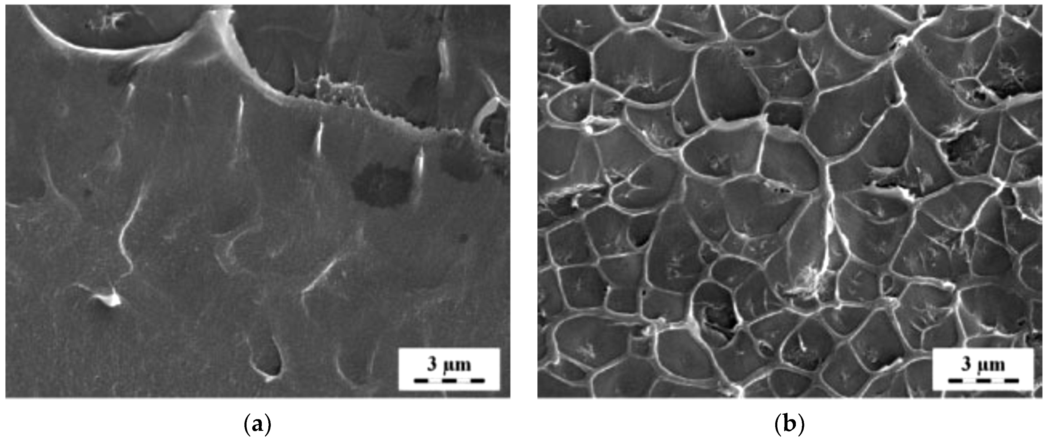 Molecules 25 04934 g003a