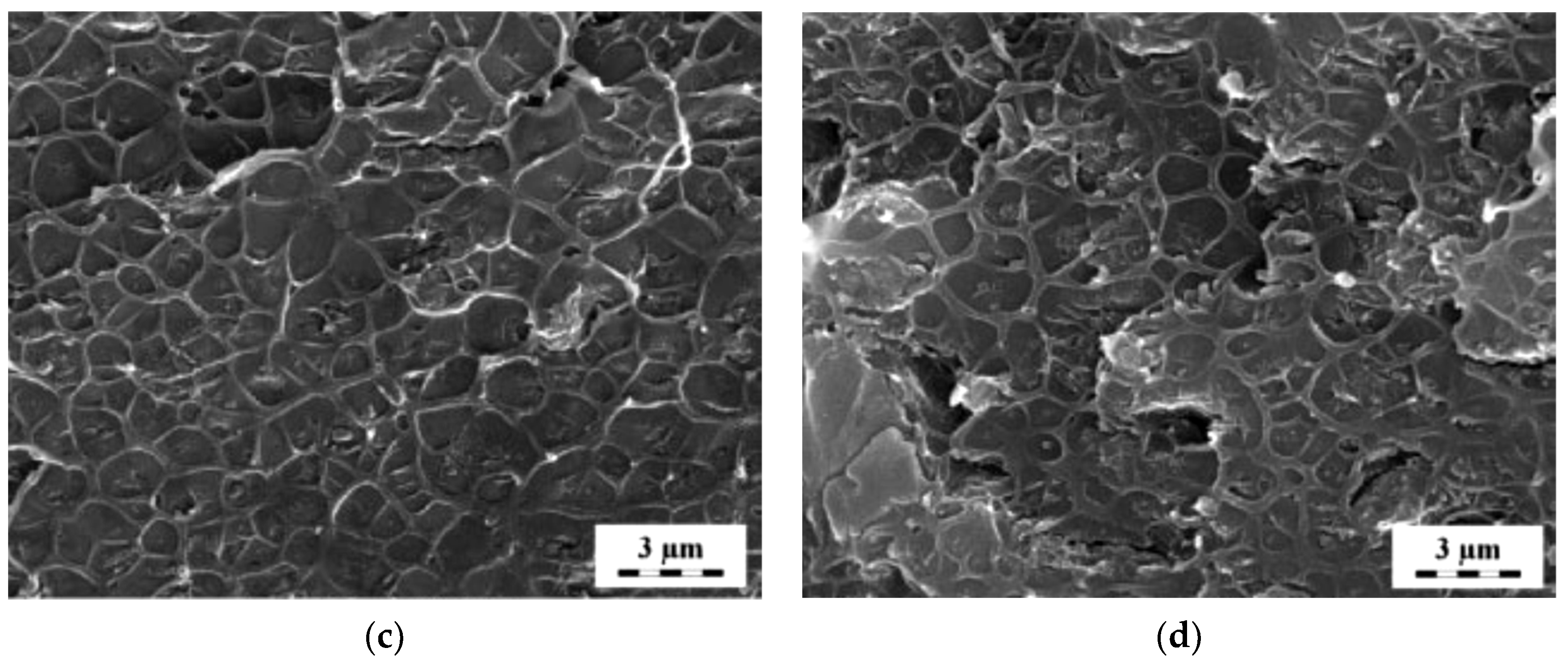 Molecules 25 04934 g003b