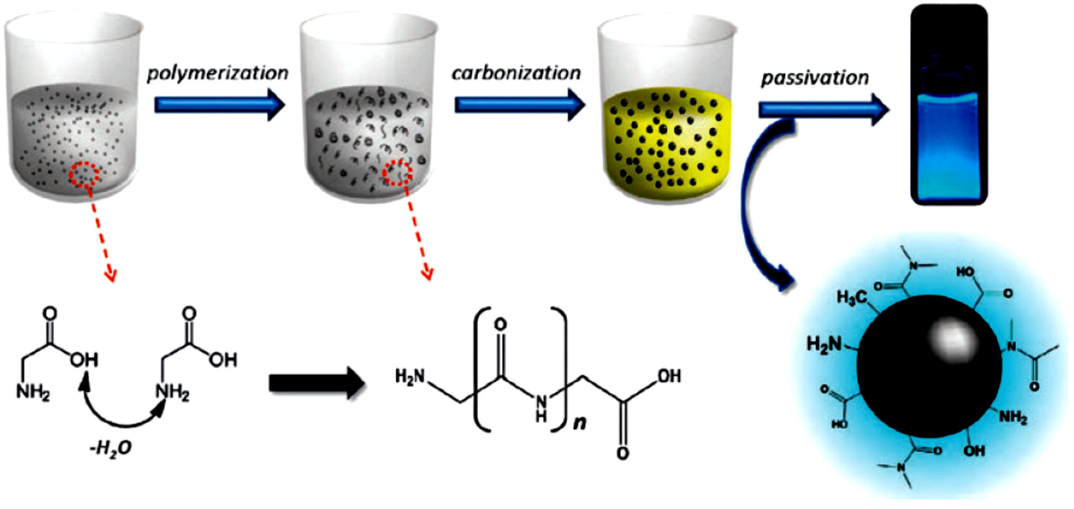 Molecules 25 04934 g004