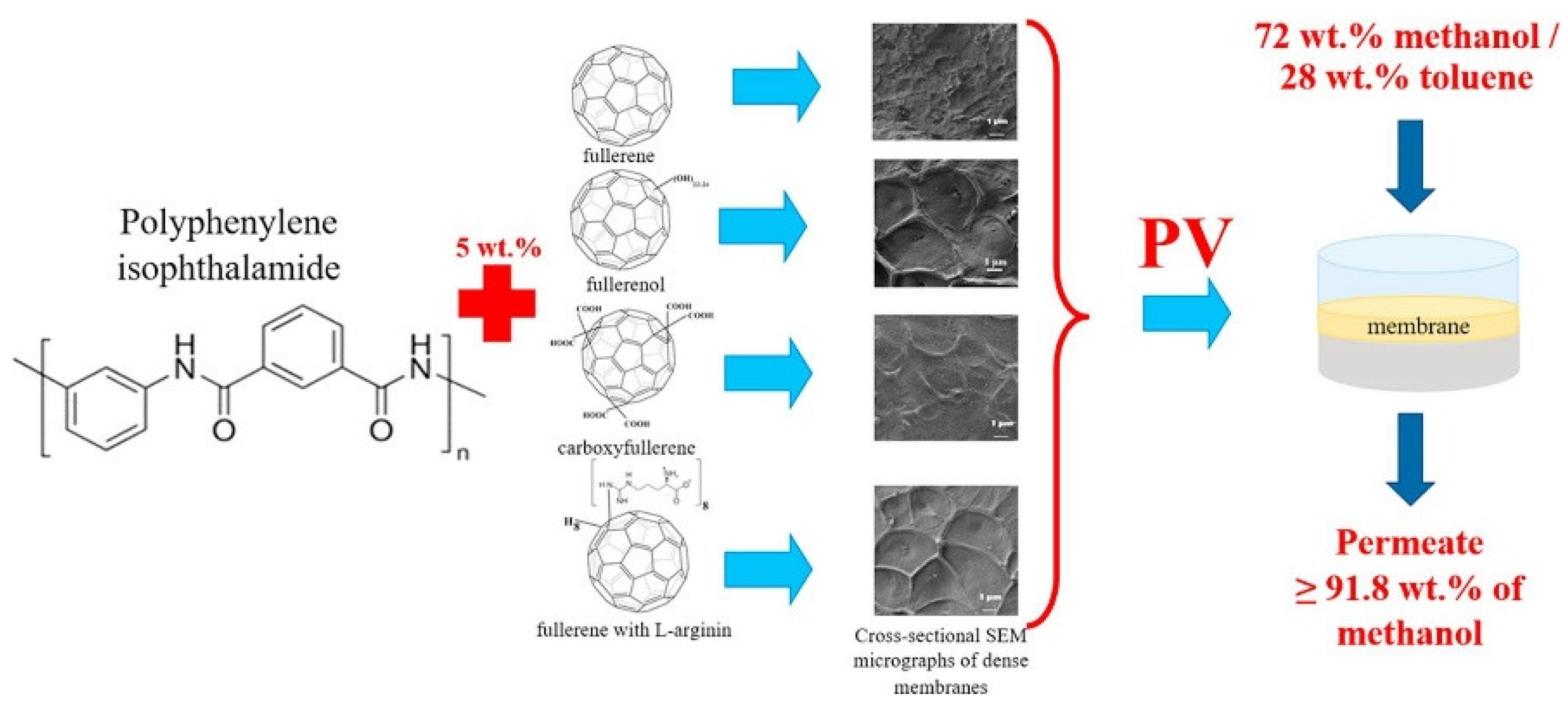 Molecules 25 04934 g006