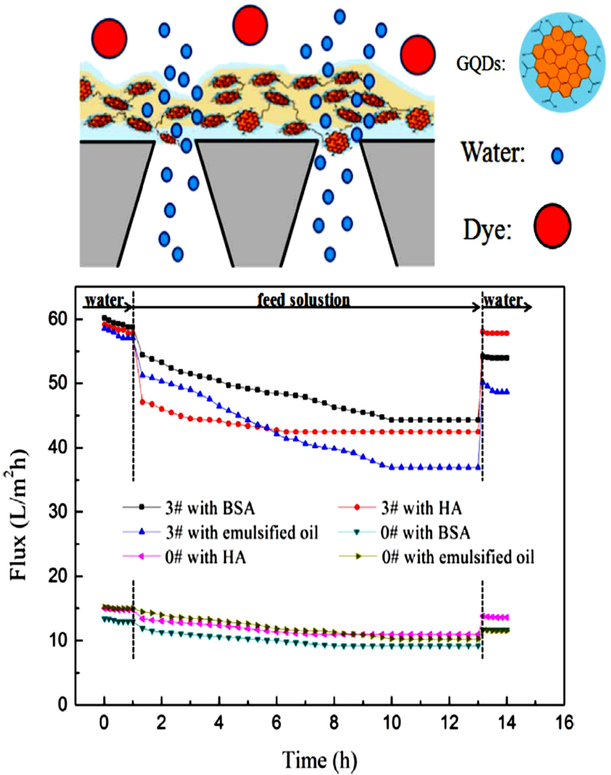 Molecules 25 04934 g007