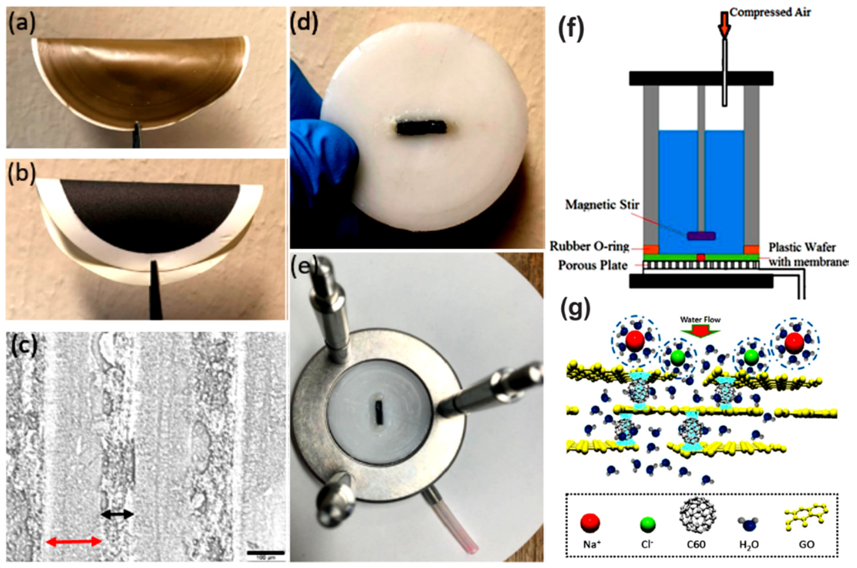 Molecules 25 04934 g008