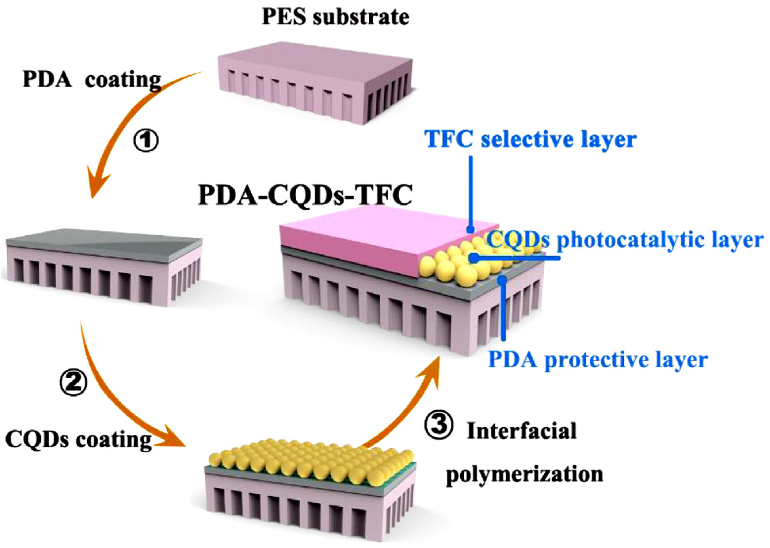 Molecules 25 04934 g009