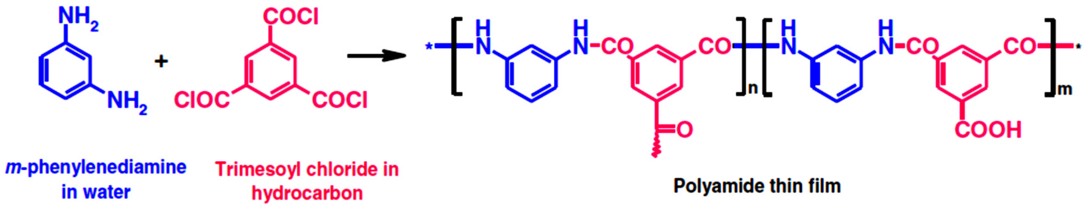 Molecules 25 04934 sch001