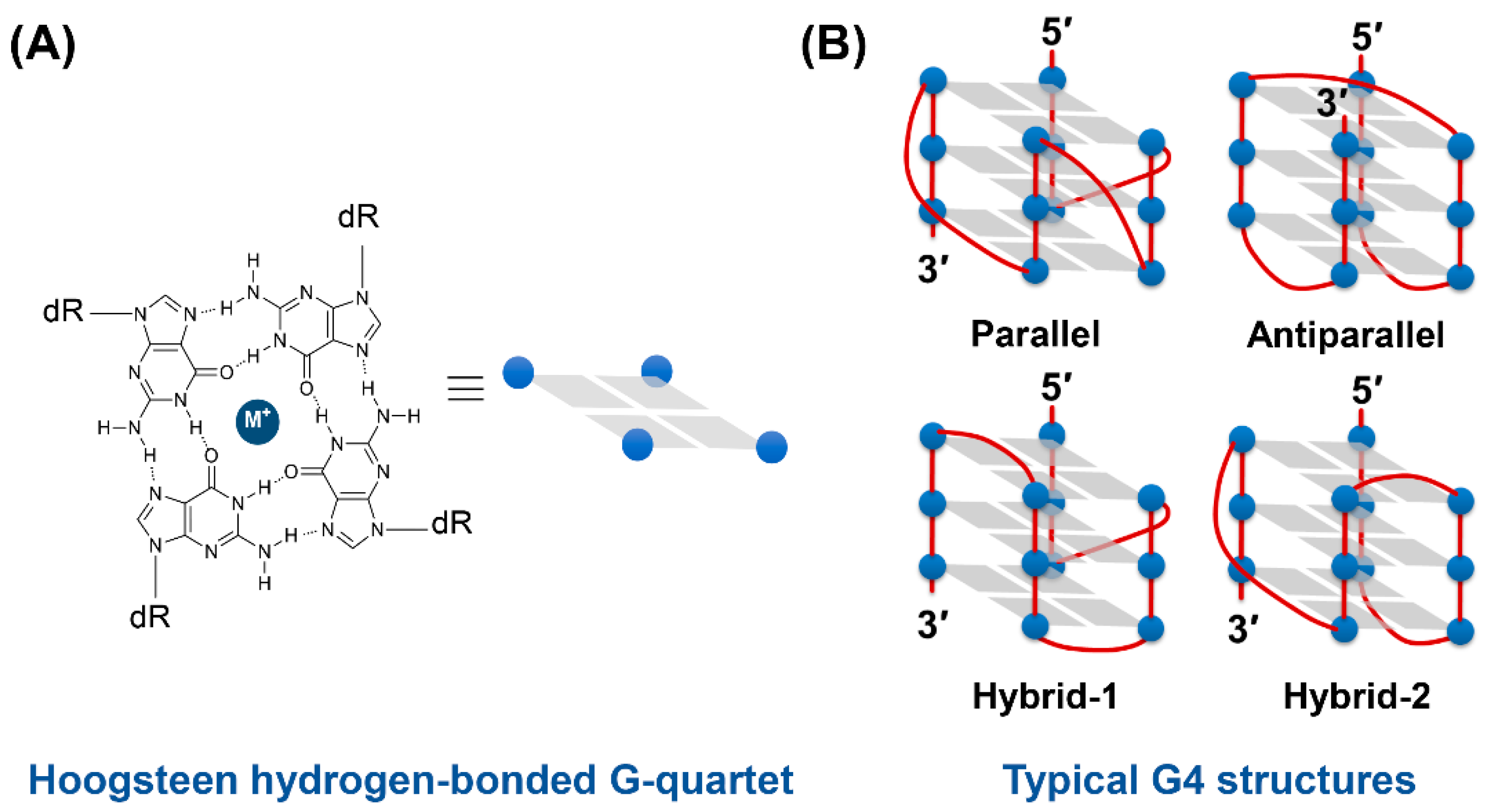 Molecules 25 04936 g001