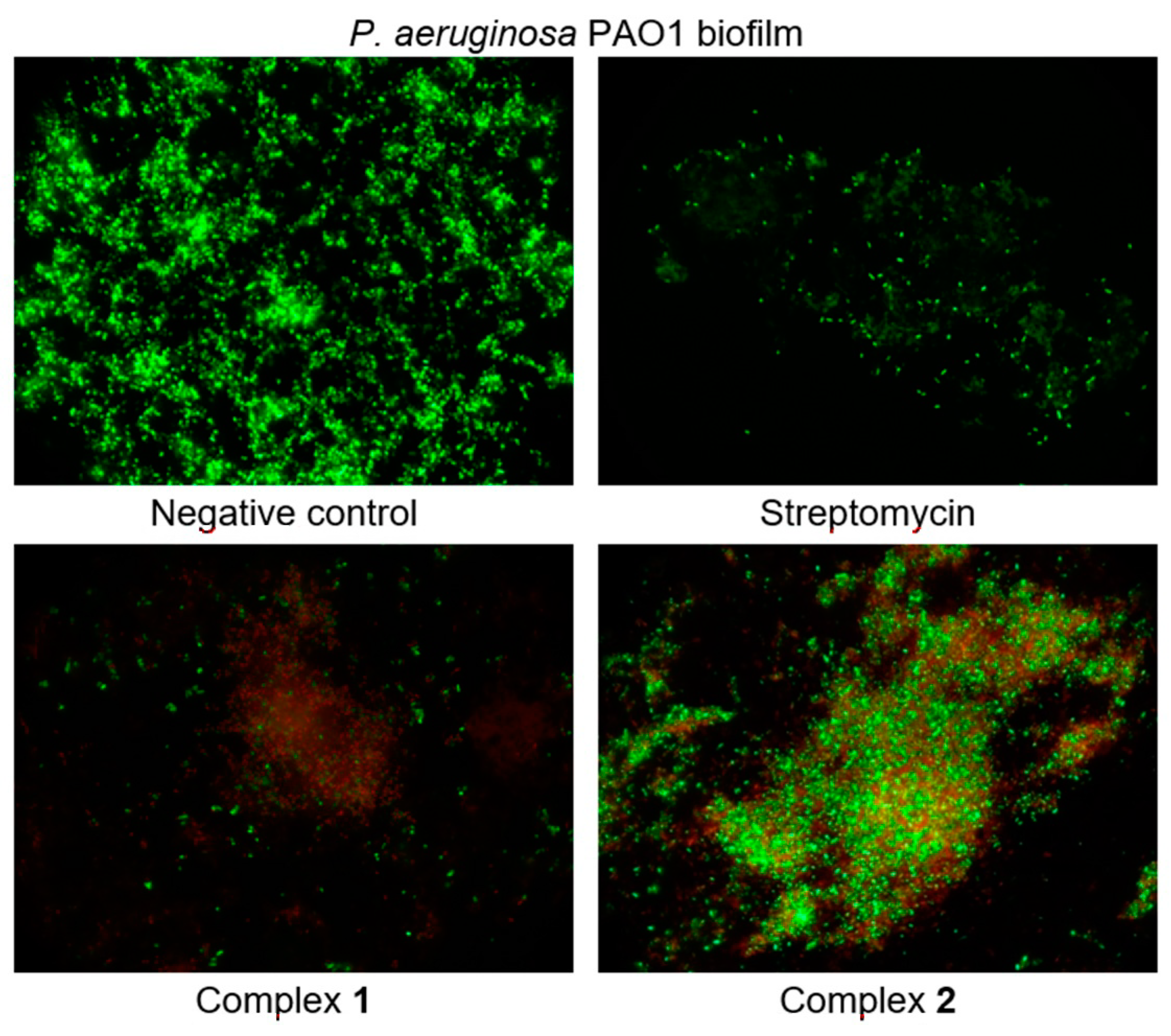 Molecules 25 04938 g011